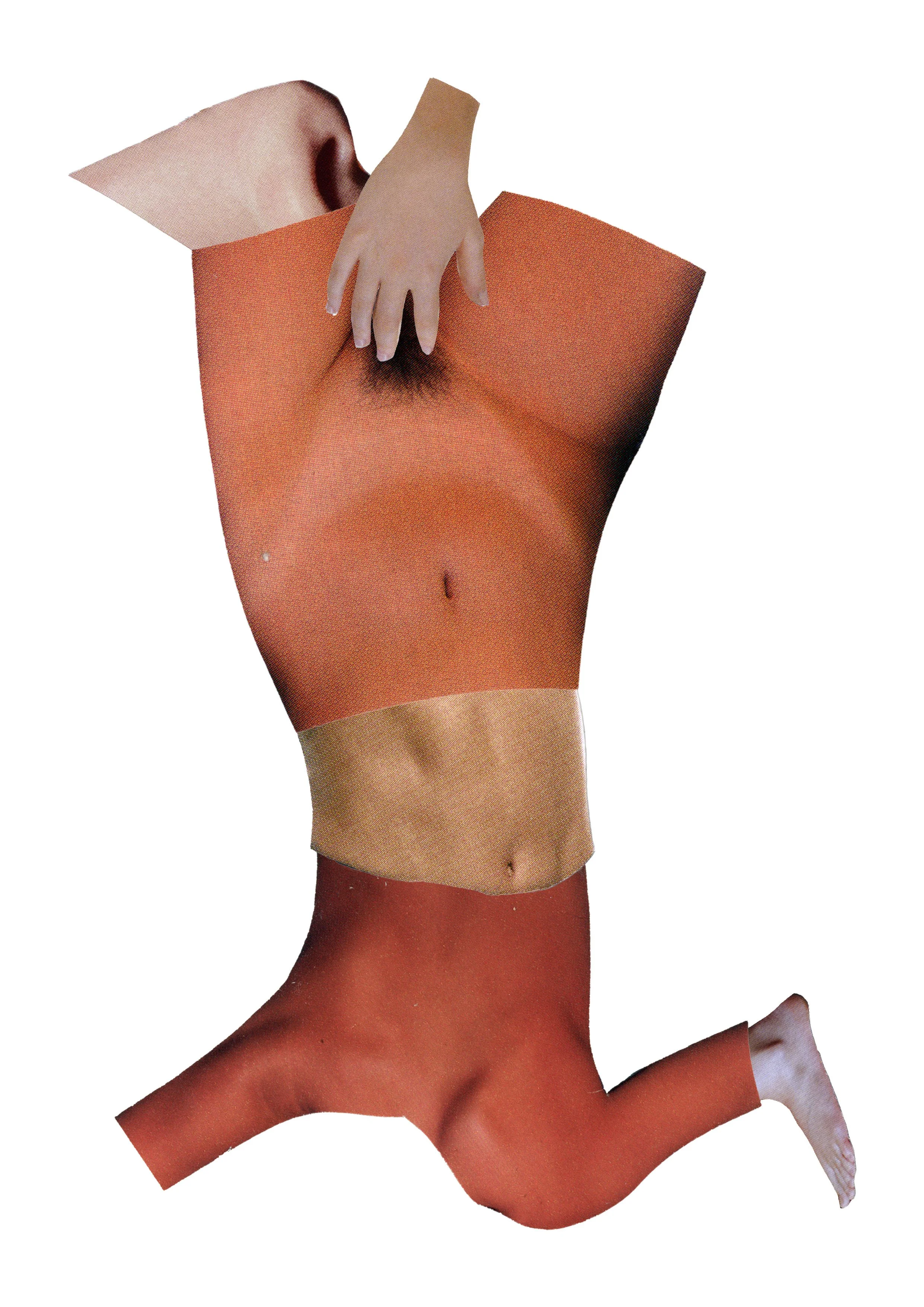 Collage of a human body with parts rearranged and edited together.