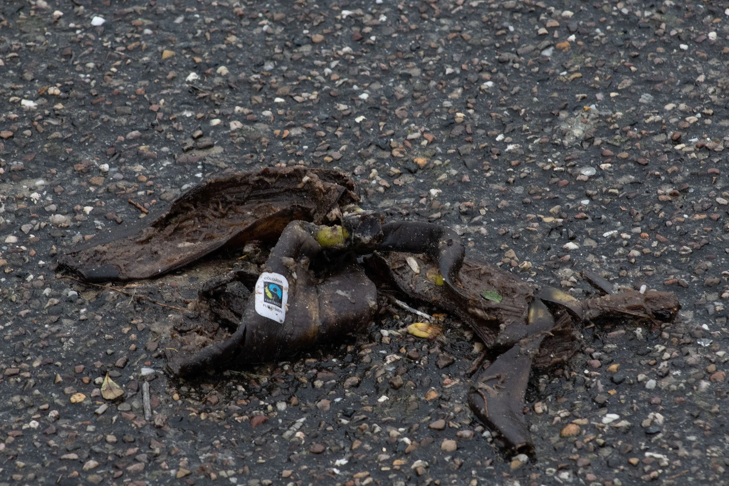 Dirty ground covered with small rocks, leaves, and plastic waste, including a piece with a Fairtrade logo.