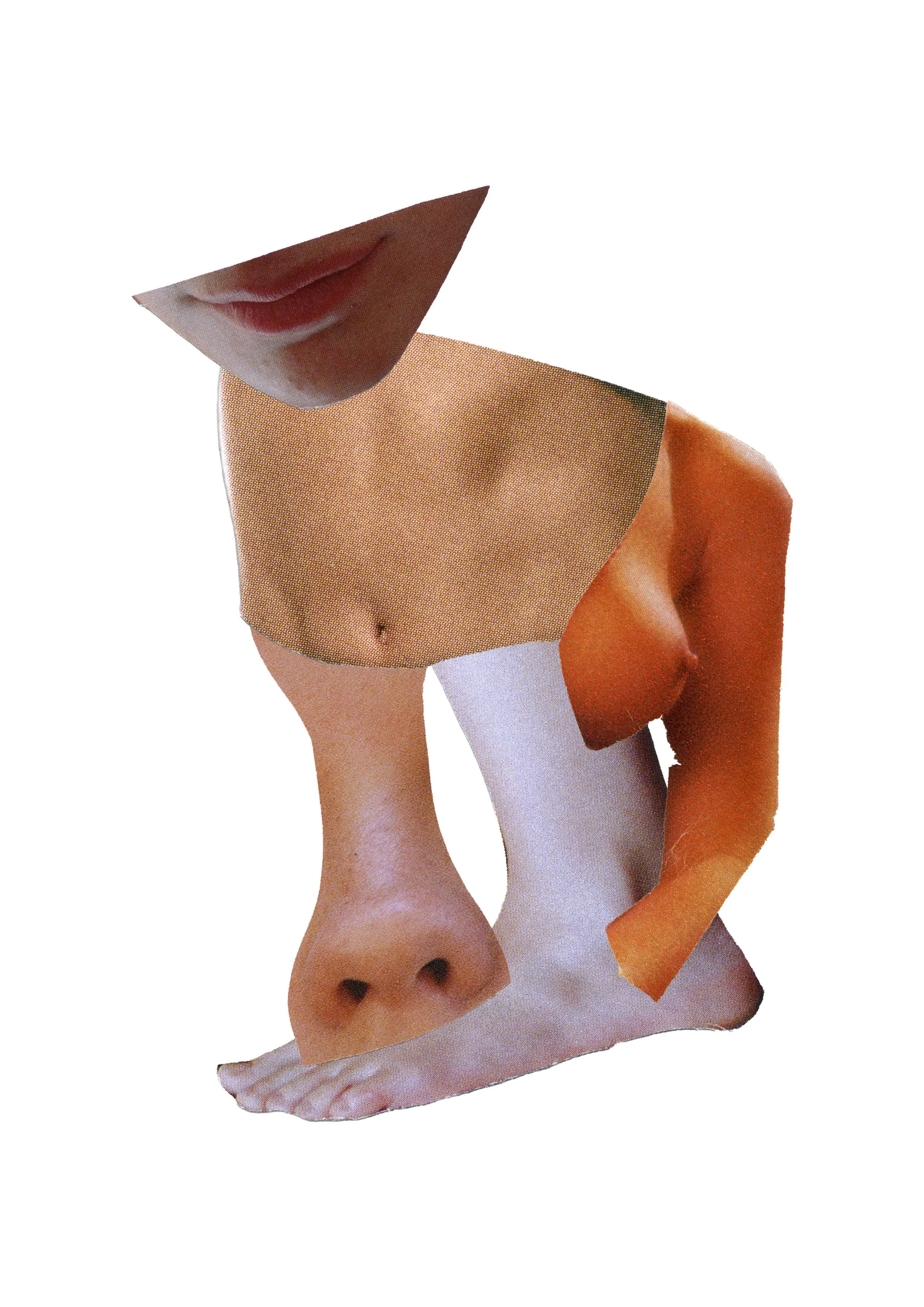 Collage of human body parts including lips, torso, belly button, arm, hand, thigh, knee, and lower leg, with some parts showing skin and some with clothing.