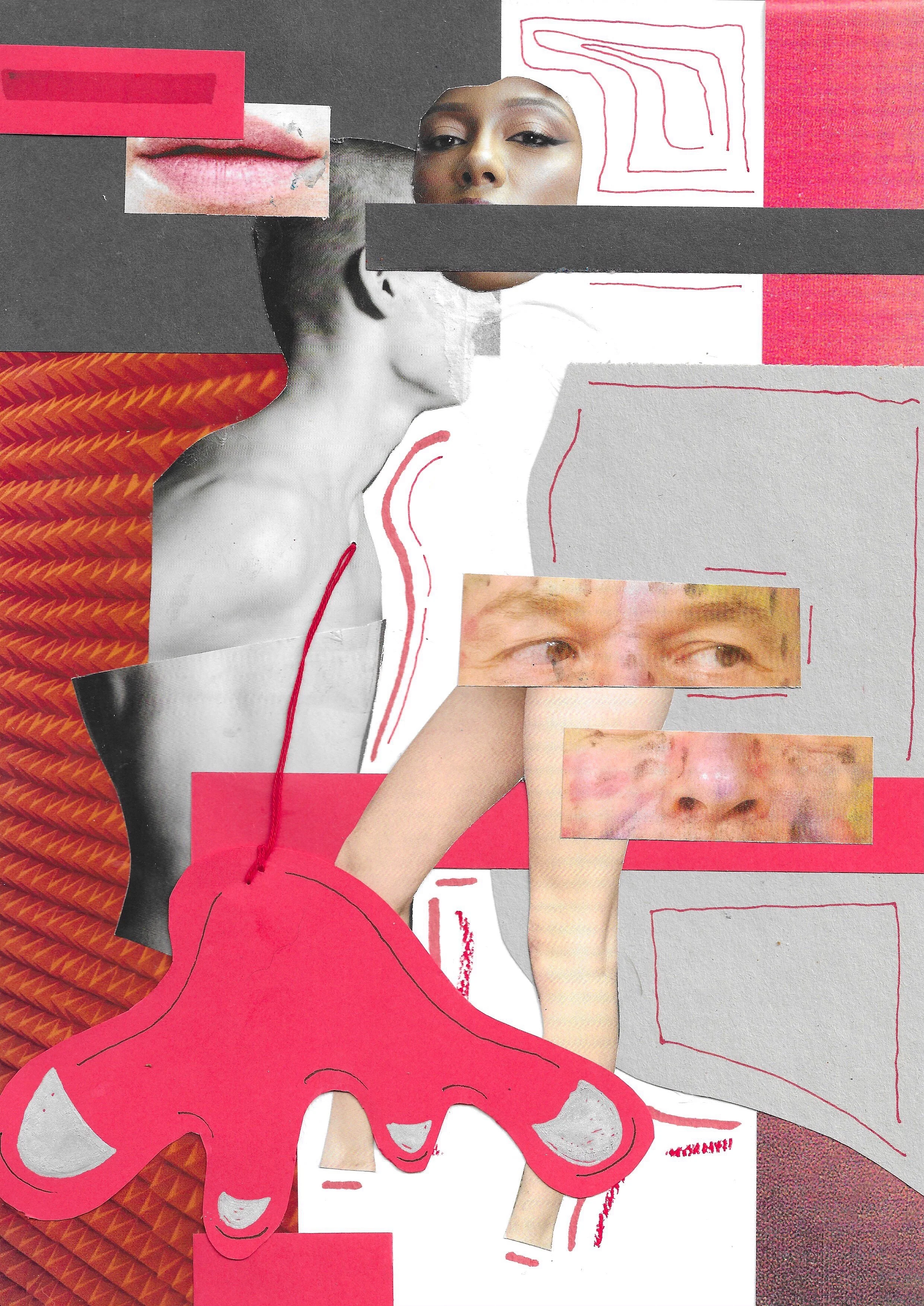 Collage artwork combining fragmented images of a woman’s face, lips, and eyes, with red and pink abstract patterns and line drawings, including a red outline of a flamingo and geometric shapes.