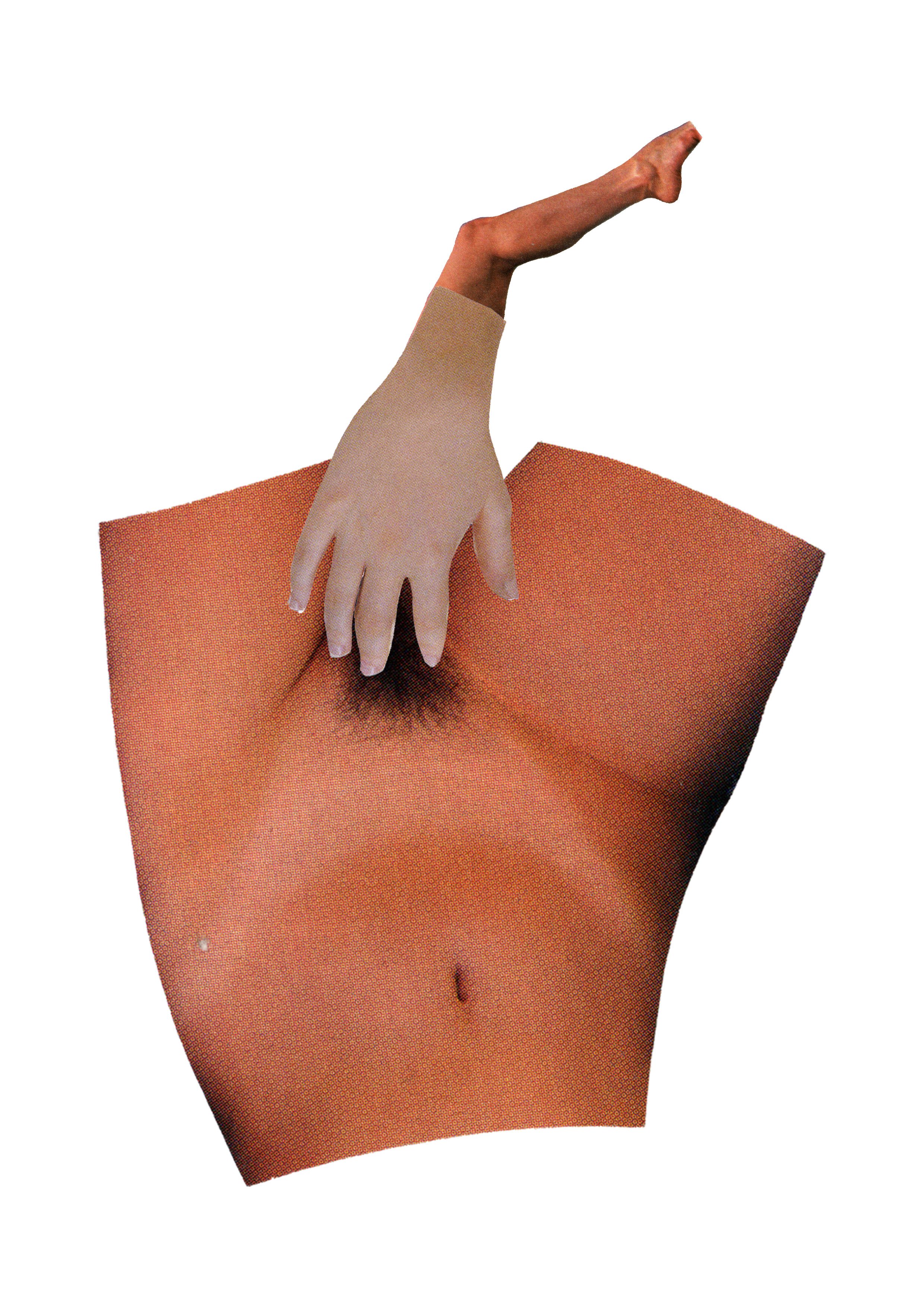 A collage of human body parts including a hand, a leg, and a torso with a navel, isolated on a white background.