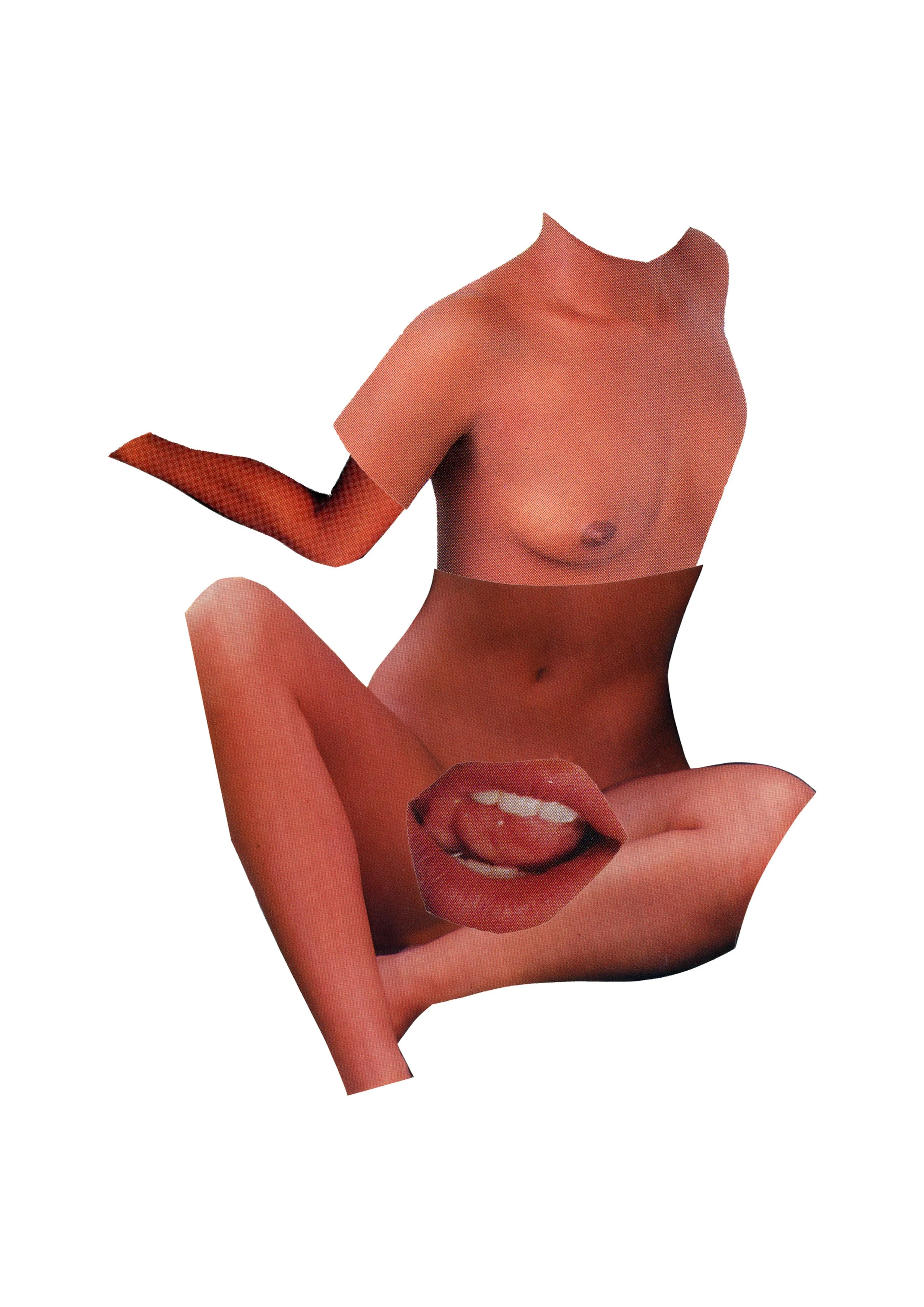 A collage of parts of a woman's body, including her face, lips, breasts, and arm, arranged in a surreal and abstract manner.