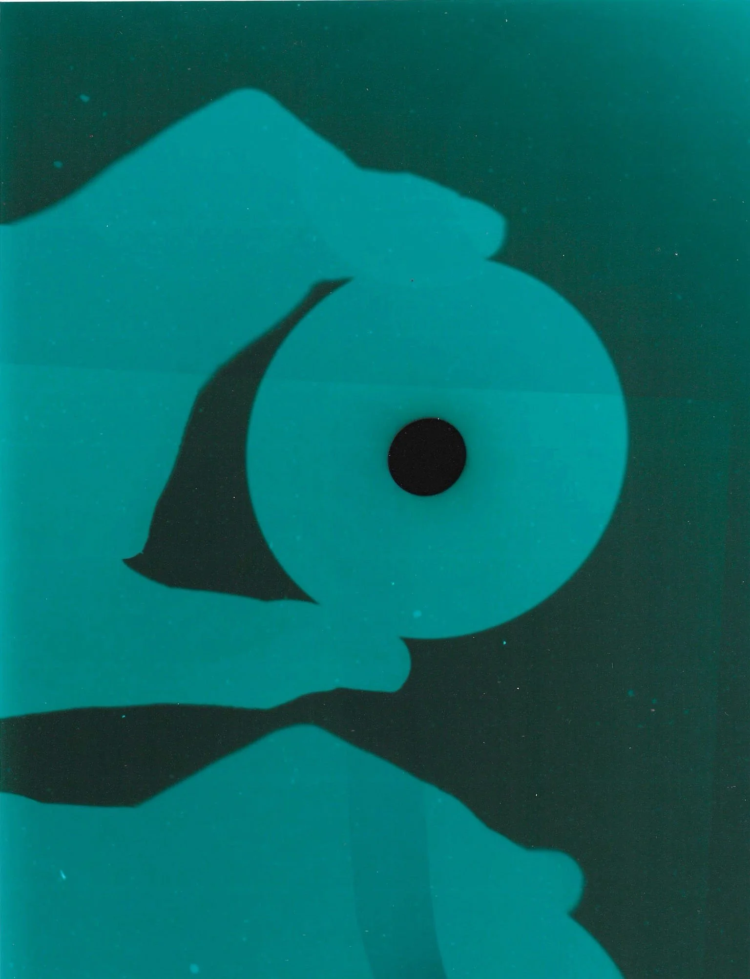 A shadow silhouette of a person and a whale in the ocean, with the whale's tail flipping out of the water.