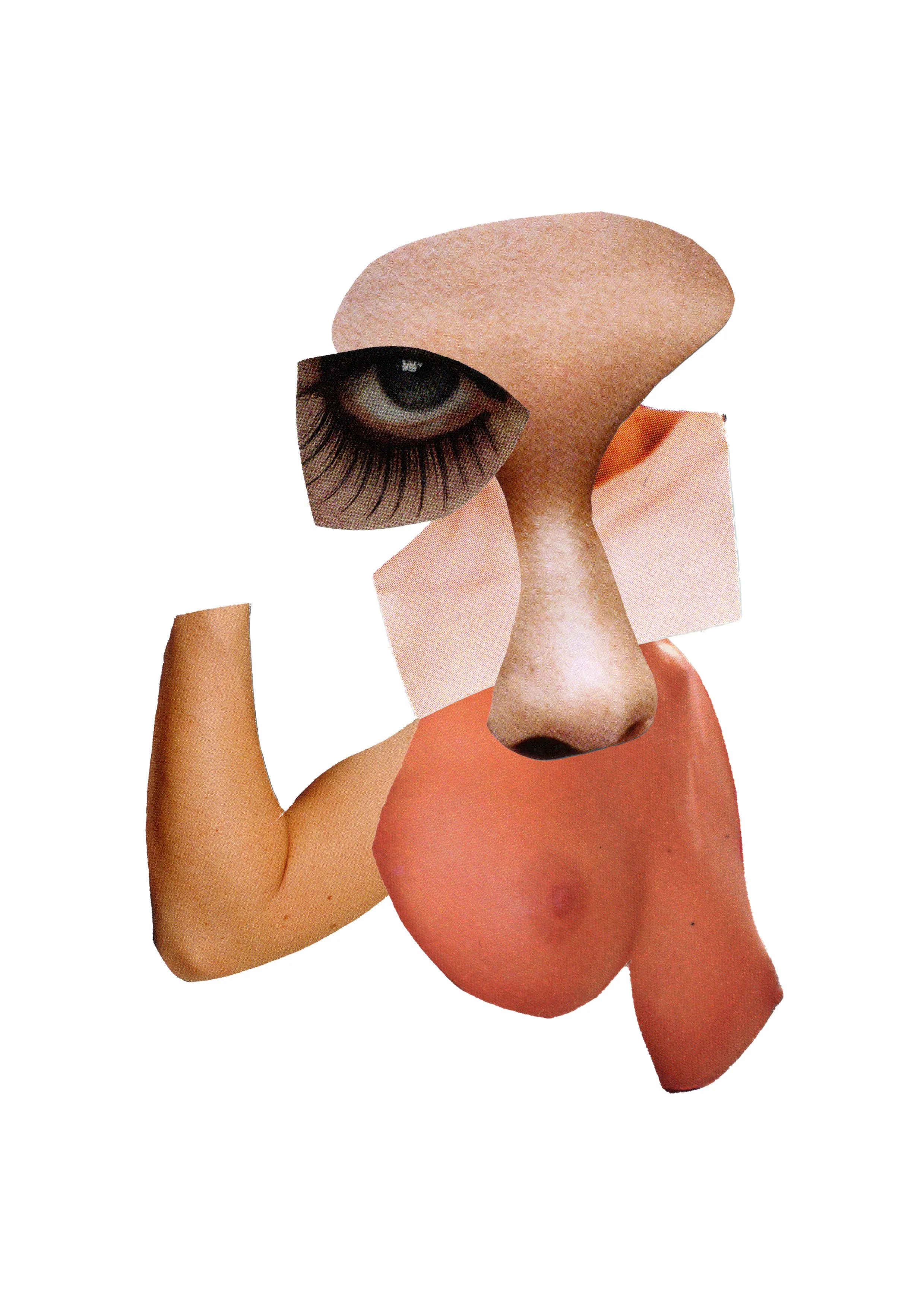 Collage of a human face with exaggerated features: a large eye with long eyelashes, a nose, and facial contours, combined with a human arm and torso, all arranged in a surreal, artistic style.