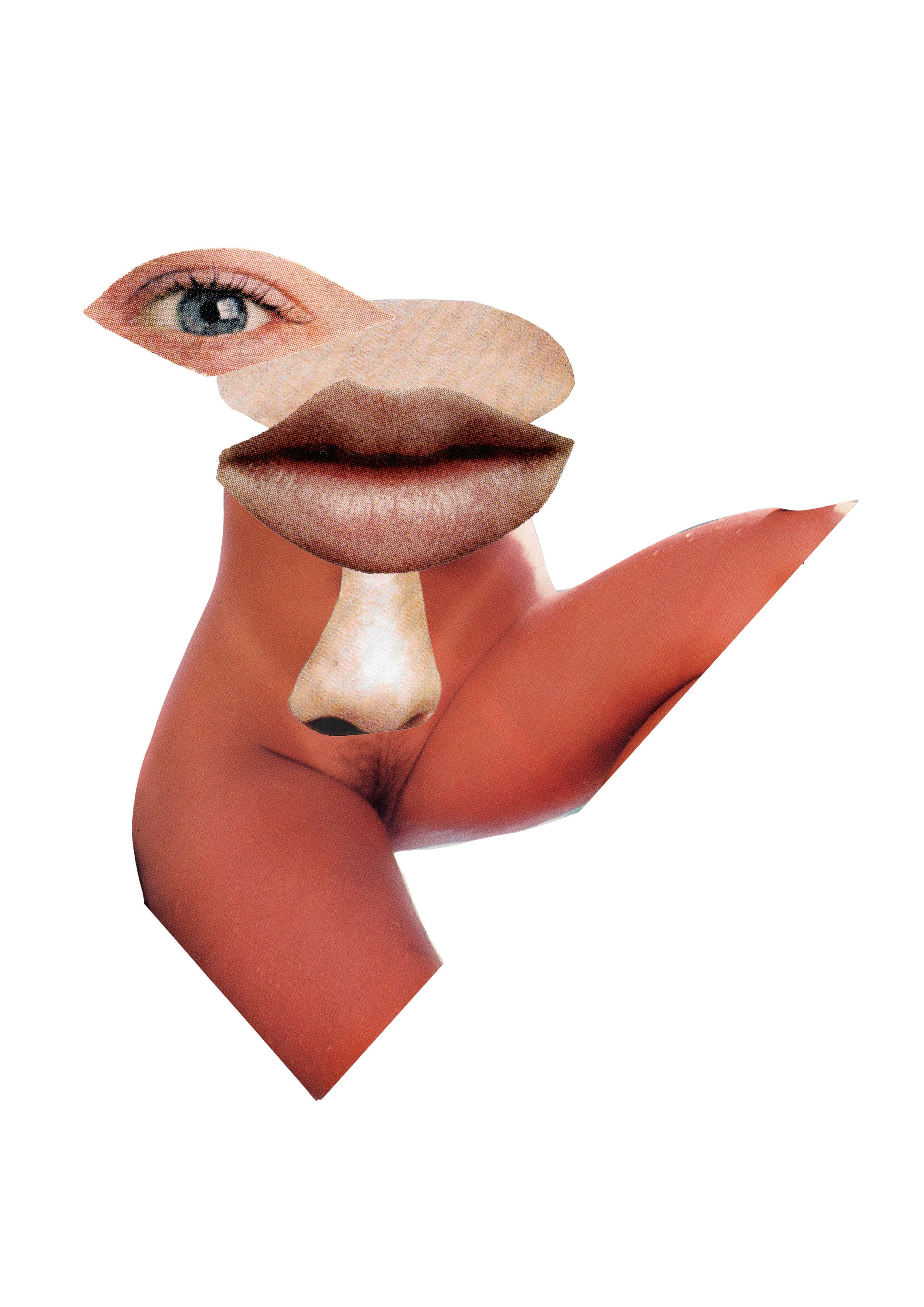 Collage art of a human face with an eye, nose, and mouth, created from cut-out images of skin, eye, and lips, arranged on a white background.