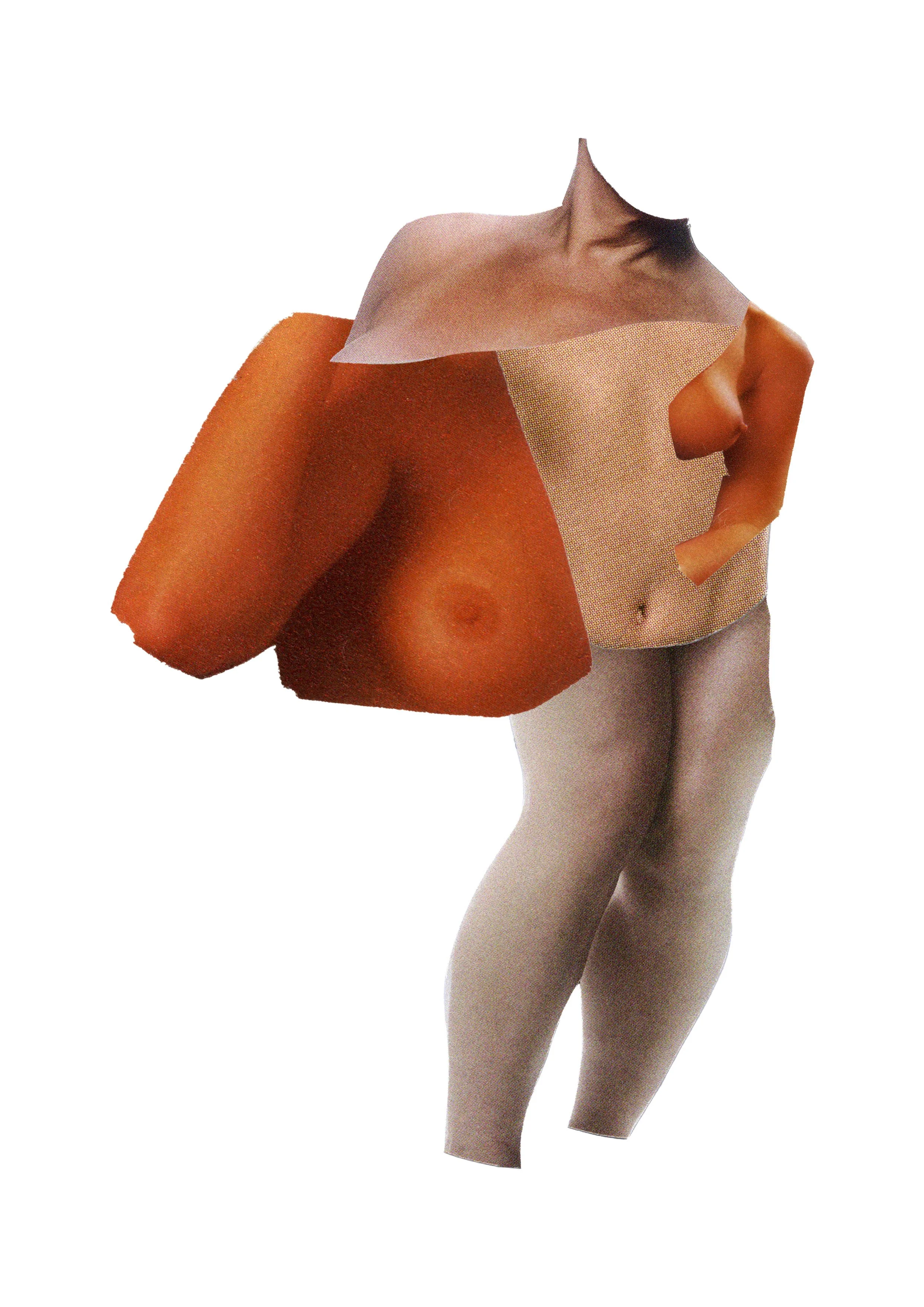 An abstract collage combining parts of a human torso, head, and limbs with textures such as skin, fabric, and paper, arranged without a clear depiction of a specific person or scene.