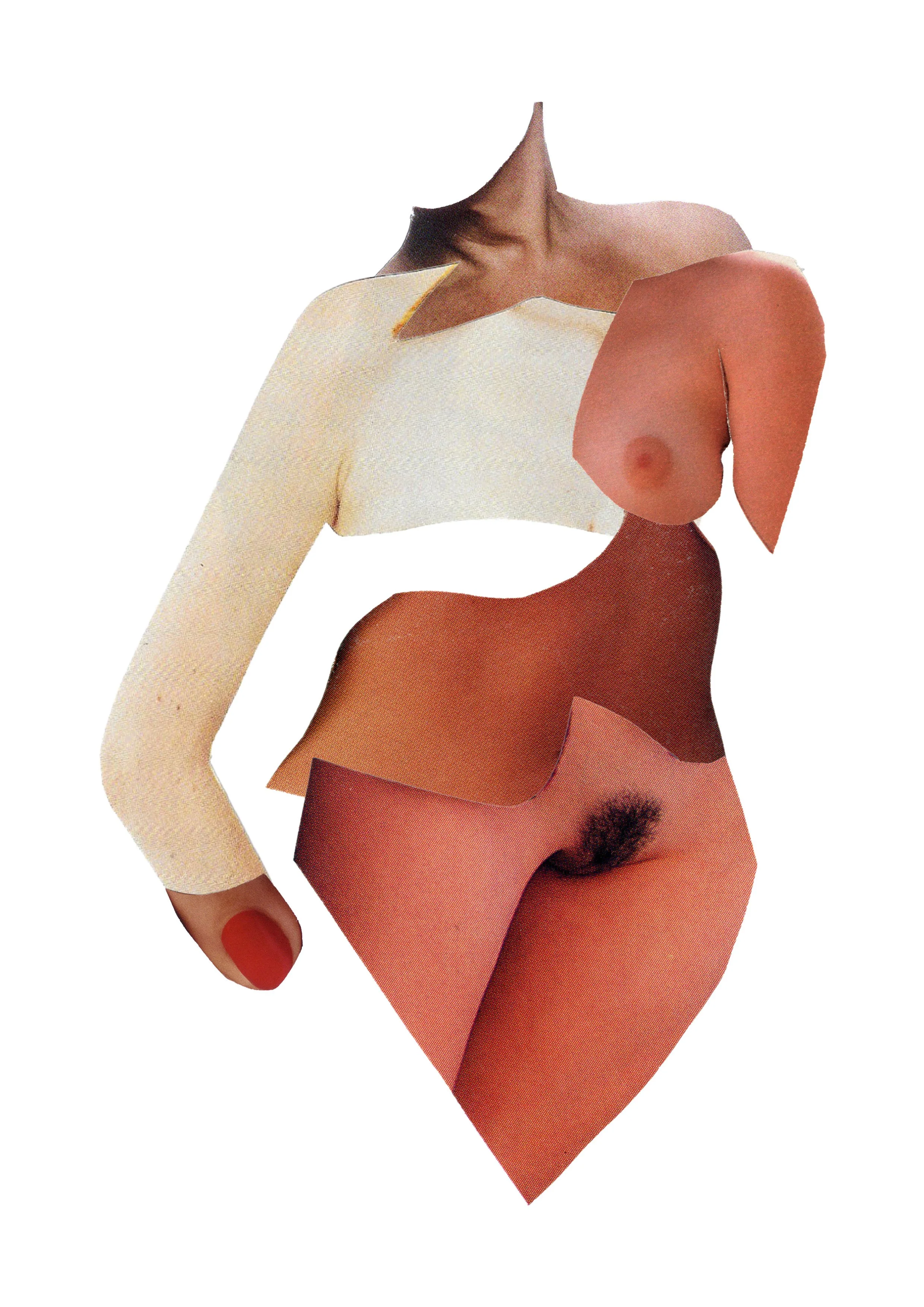 Collage of various body parts with some being human and others being photographs of flowers and other textures, edited together in an abstract manner.