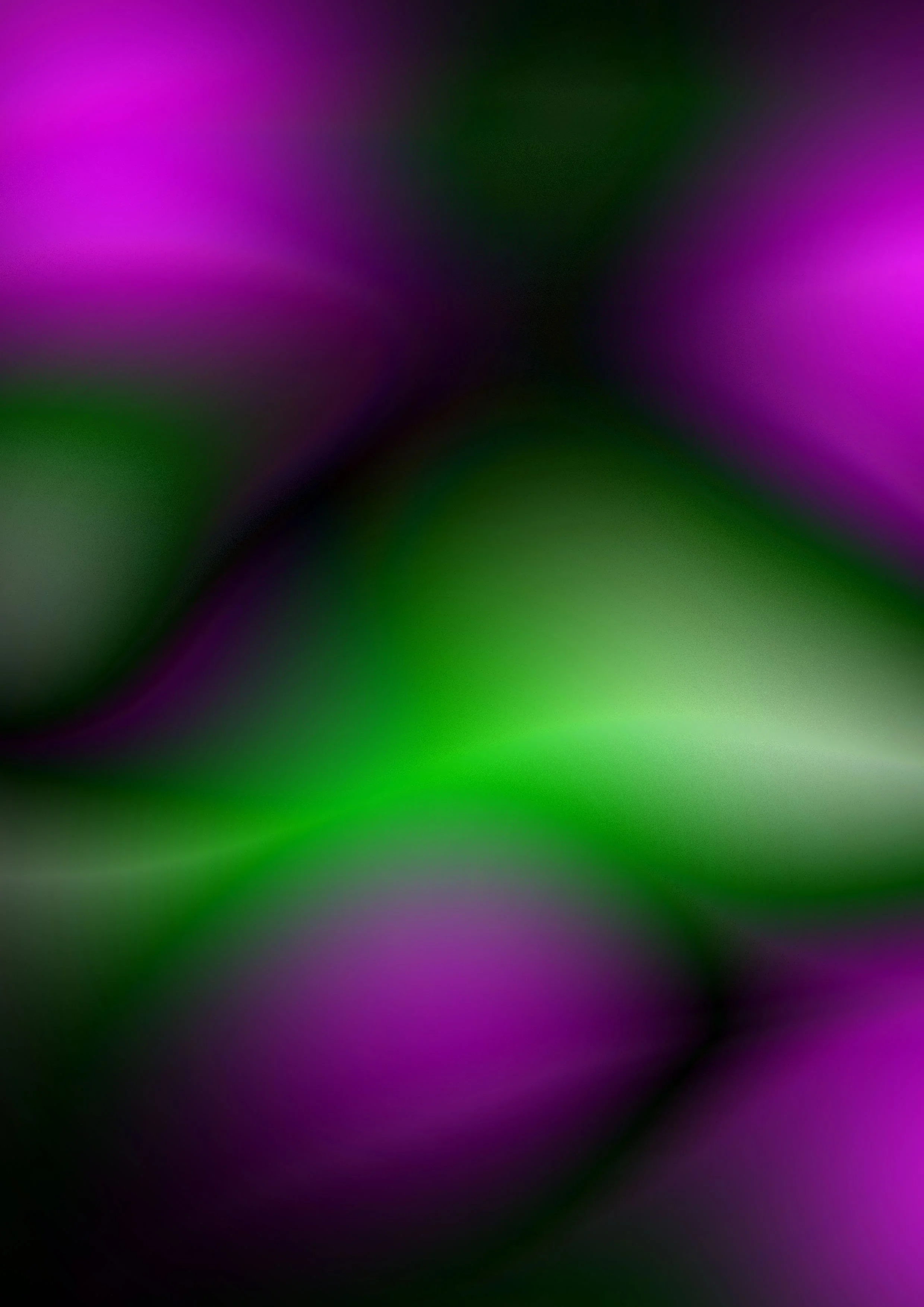 Close-up of green and purple plant petals with blurred background.
