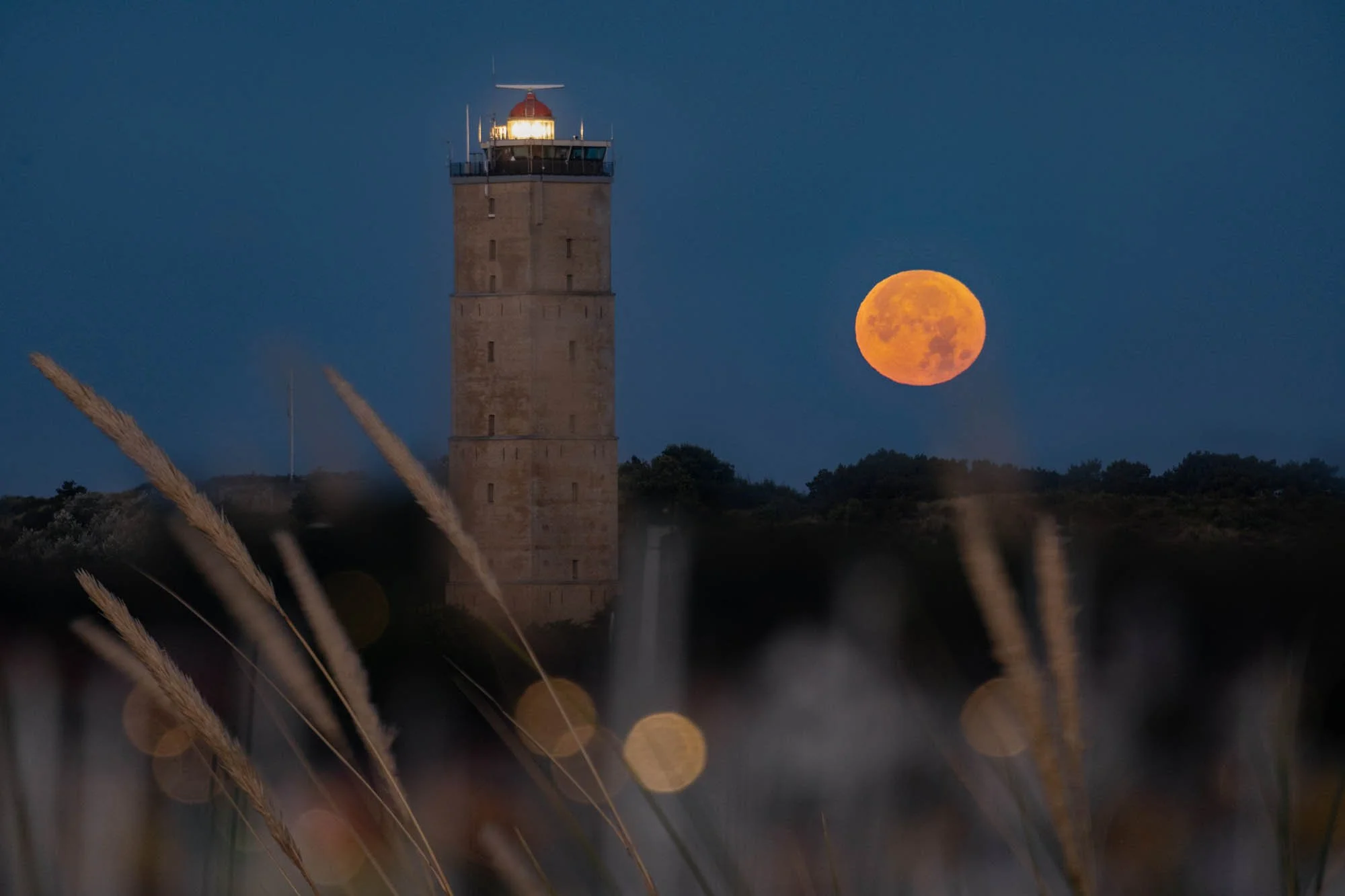 marjoleinvanrosmalen-maan-met-toren-website.jpg