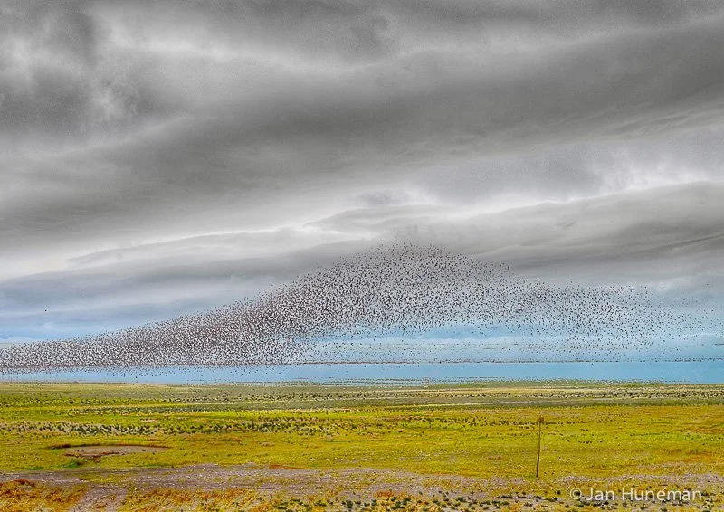 Wadden_in_vogelvlucht.jpg