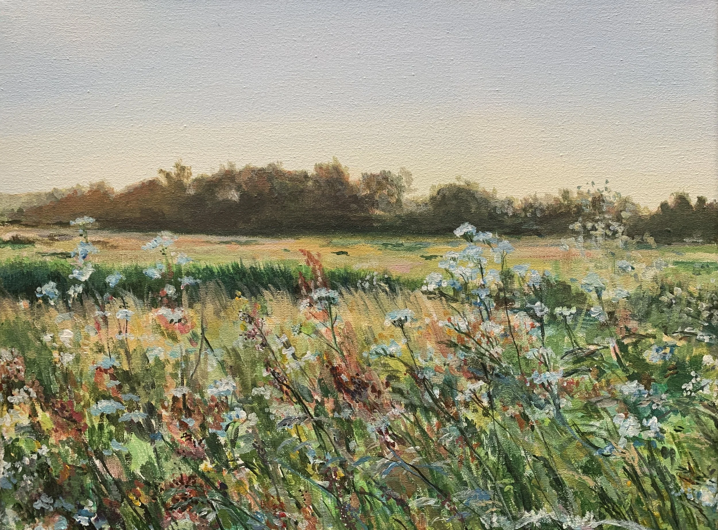 20. Polder bij Landerum.jpg