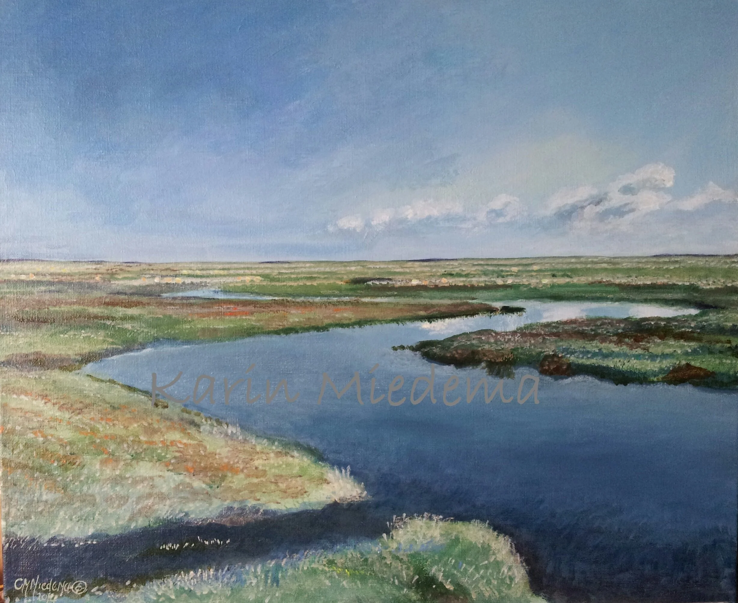 schilderij-Boschplaat-Slenk-2014-Karin-Miedema@3x.jpg