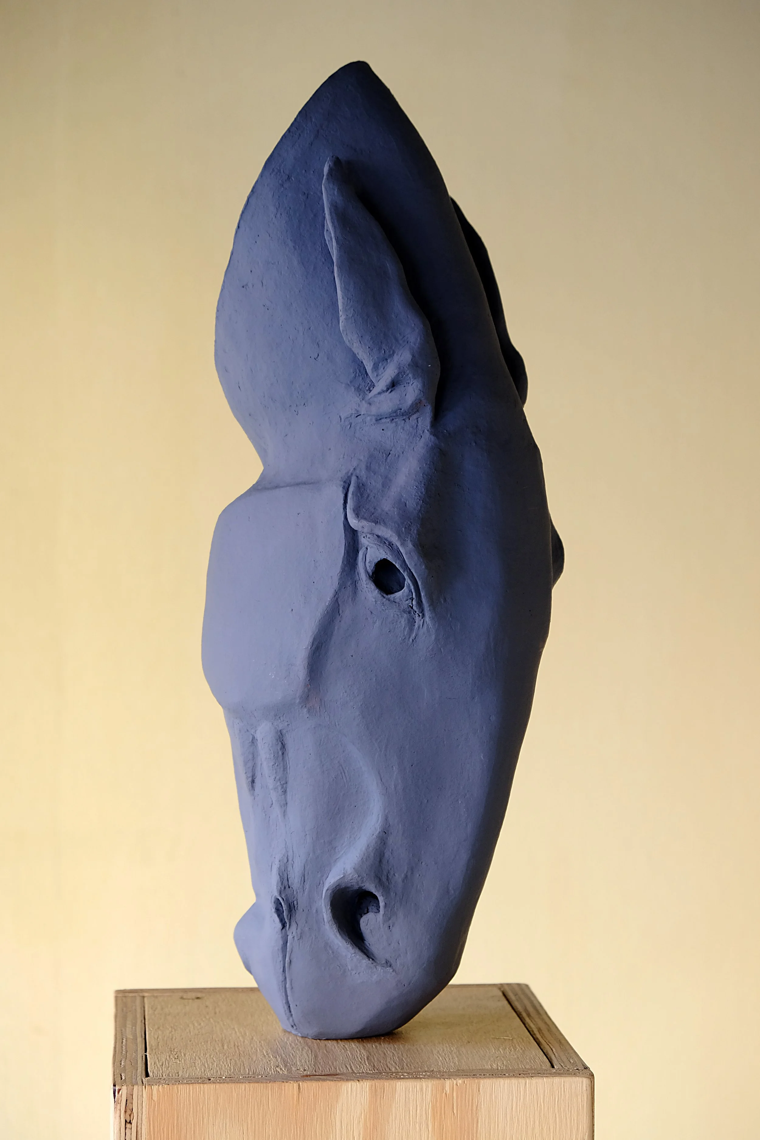 jeannette-steegmans--01.jpg