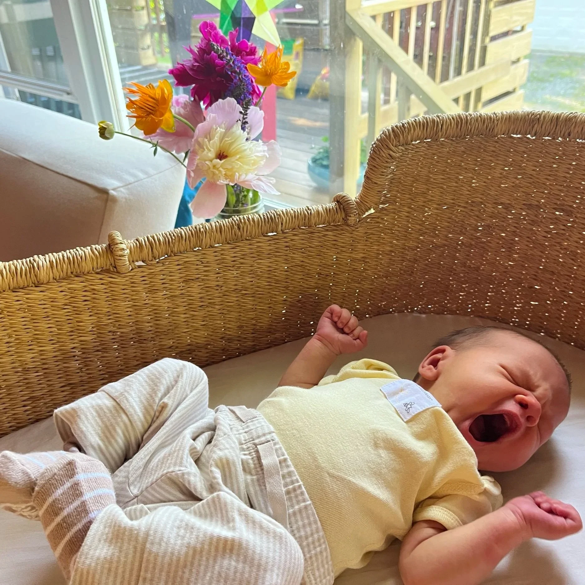yawn.jpg