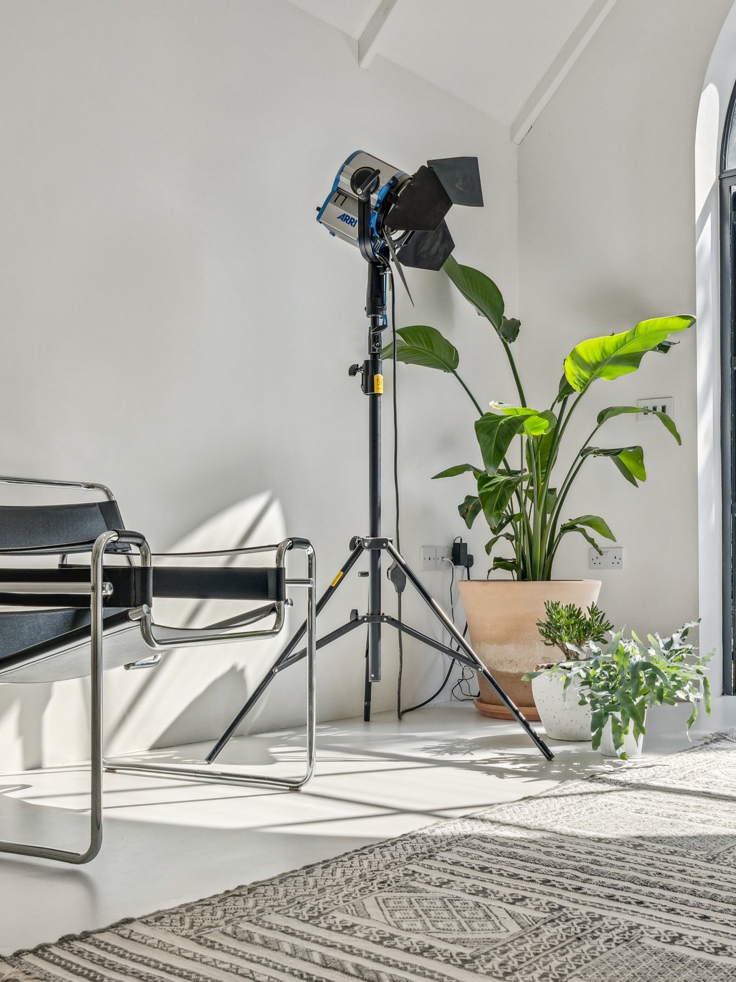 Studio light 🌱
