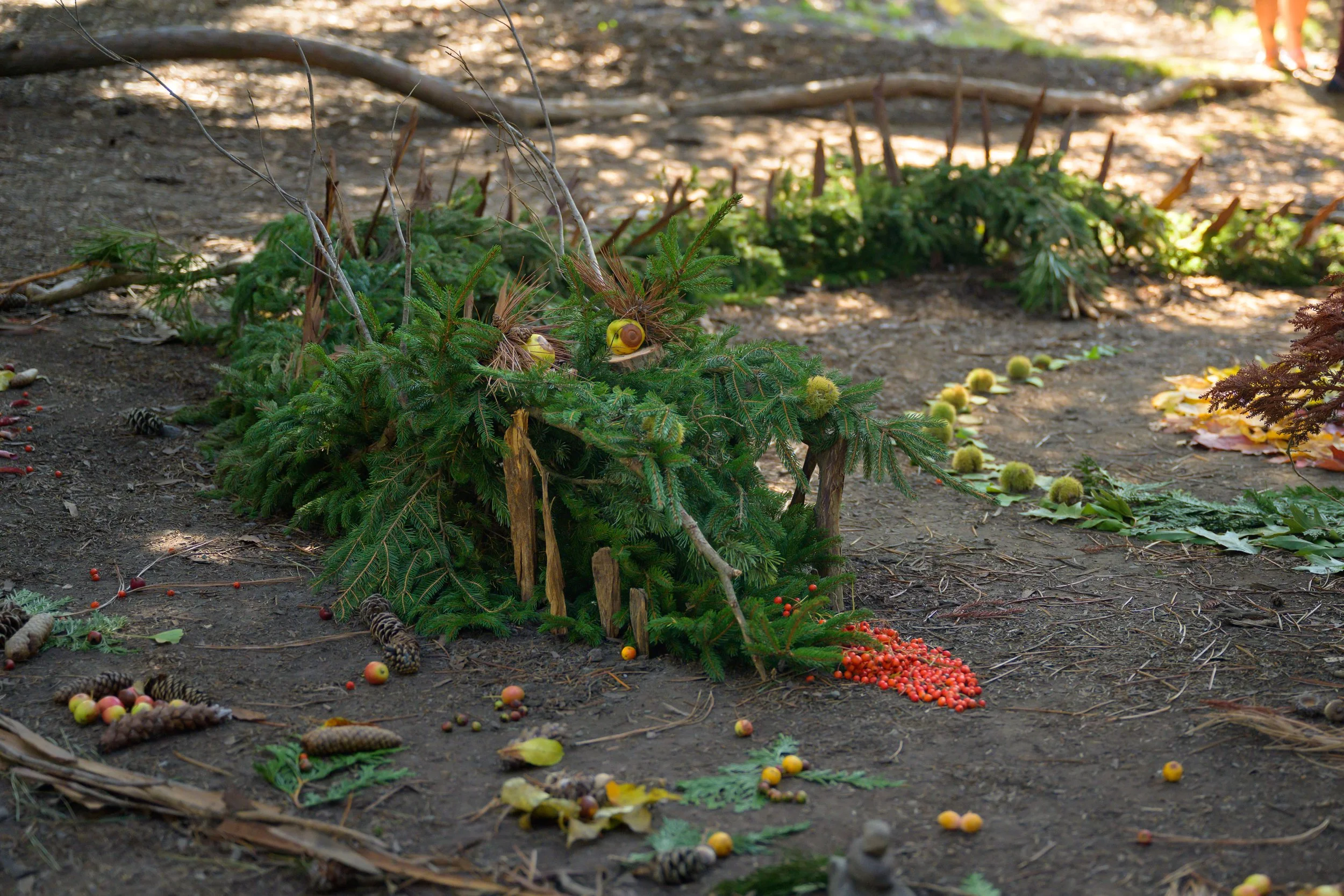 MassQBall 2025164.jpg