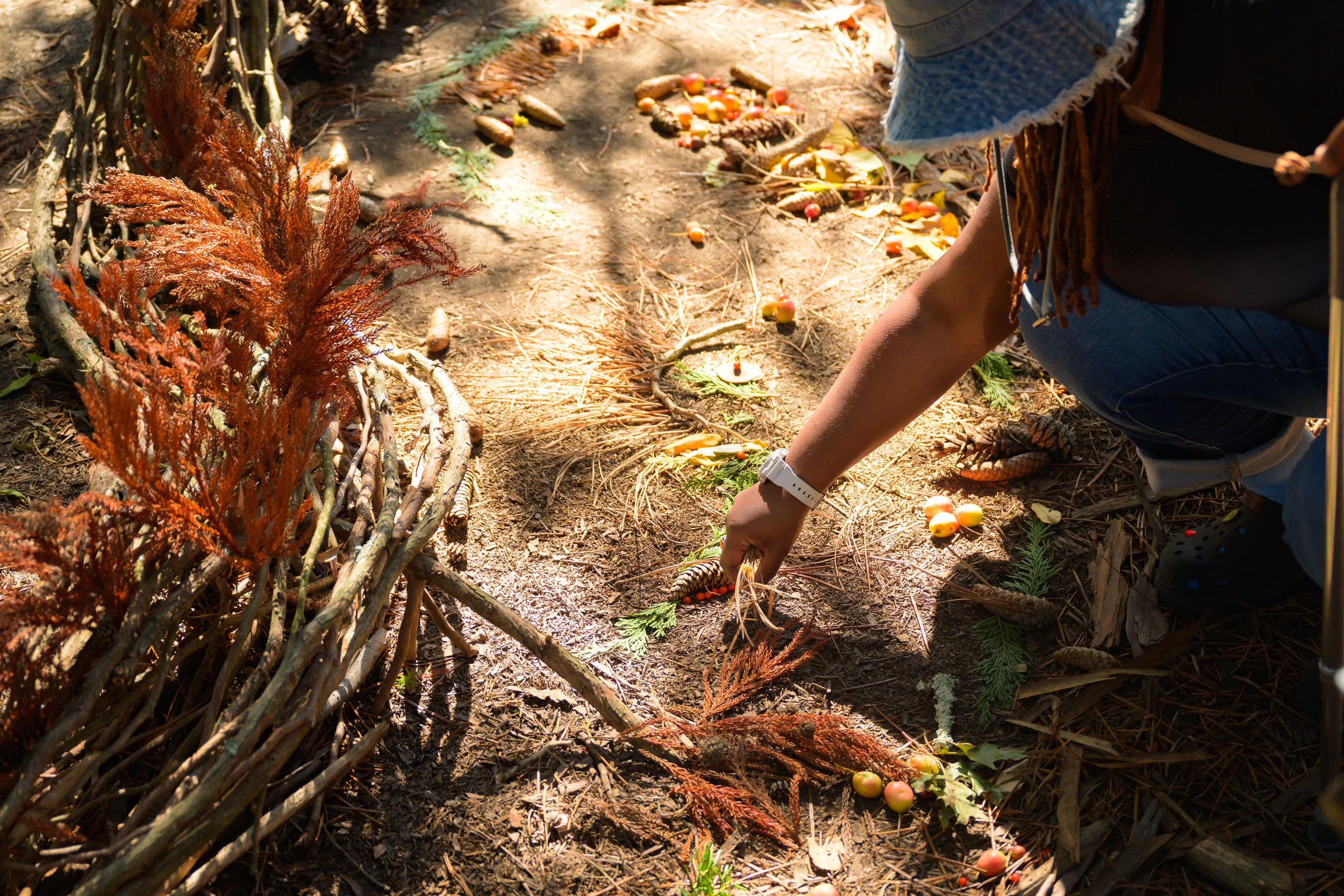 MassQBall 2025166.jpg