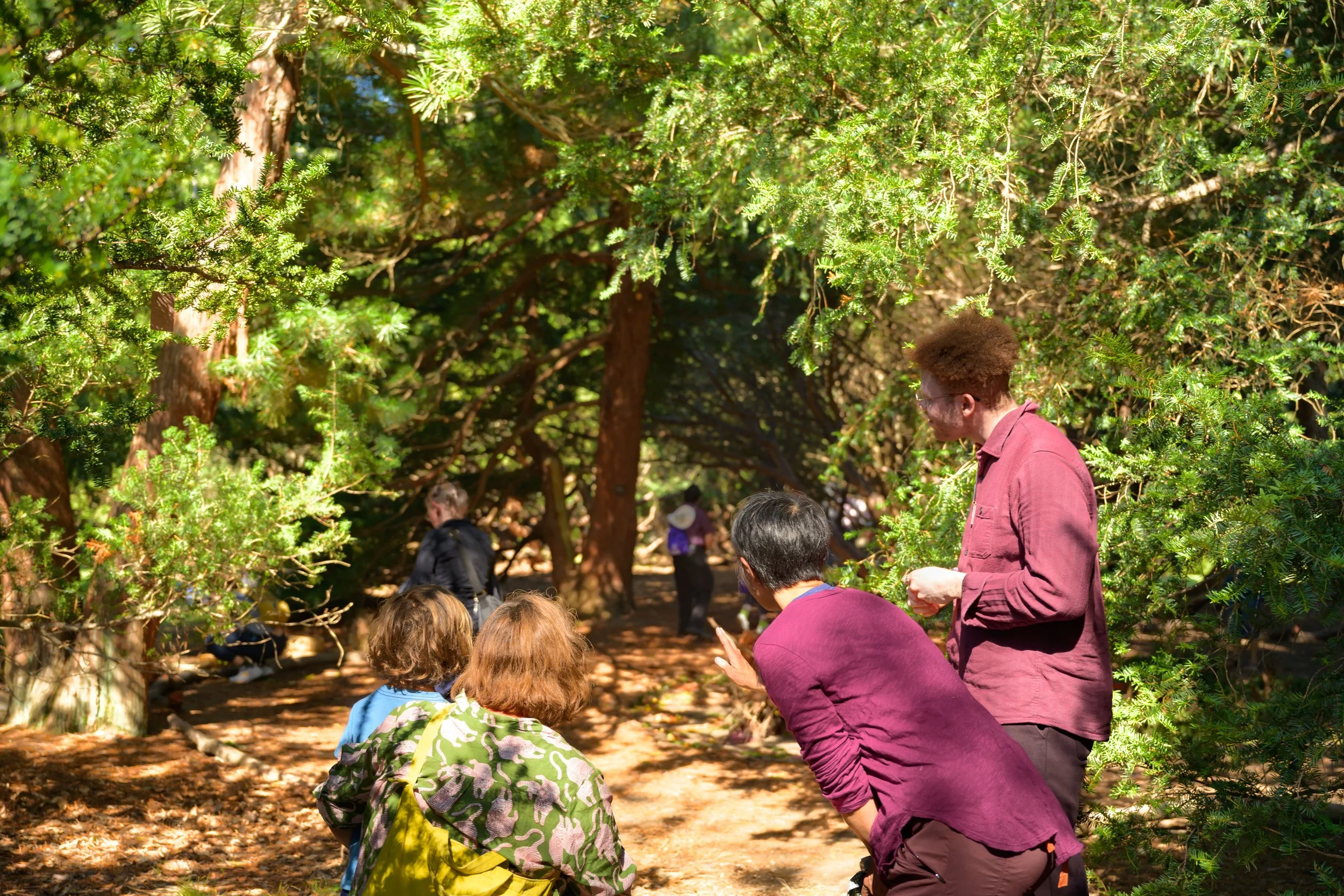 MassQBall 2025179.jpg