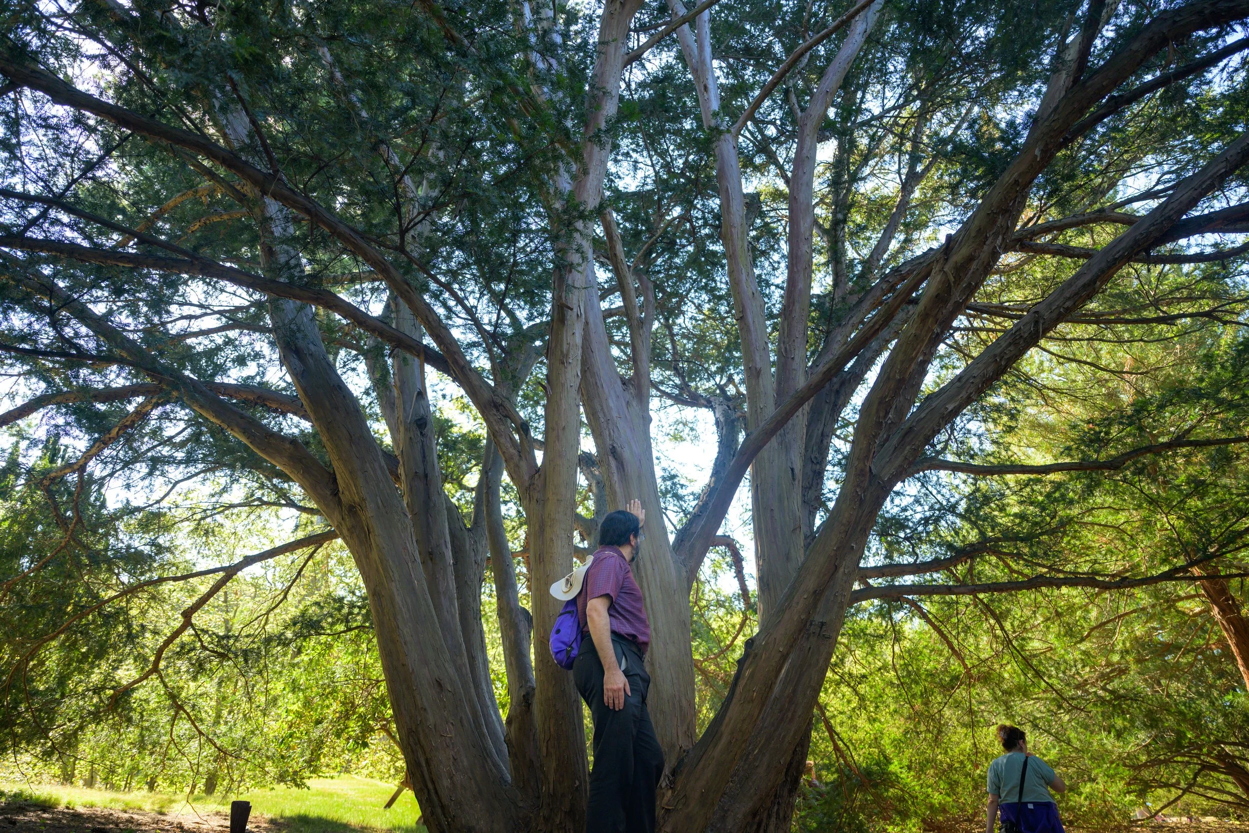 MassQBall 2025182.jpg