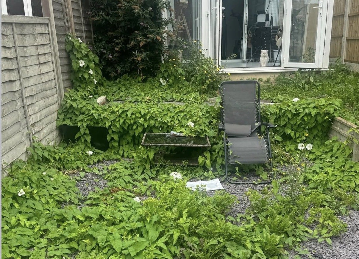 Raised Patio Before