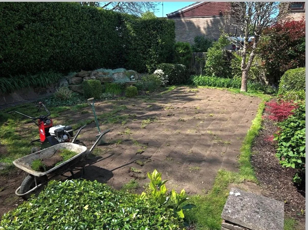 Astro Turf Before