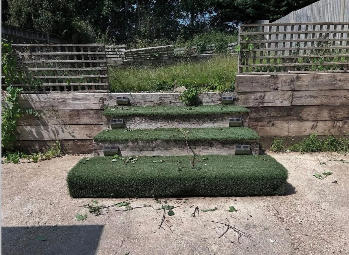 Garden Transformation Before
