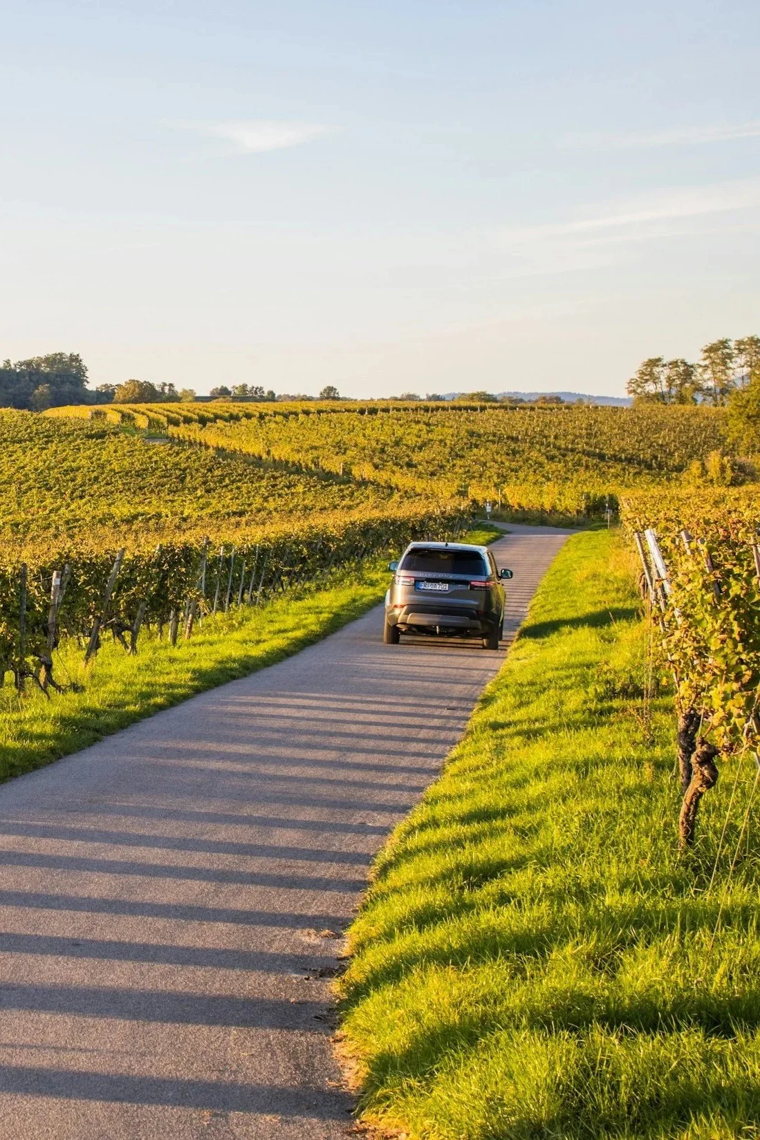 burdungy vineyards by car