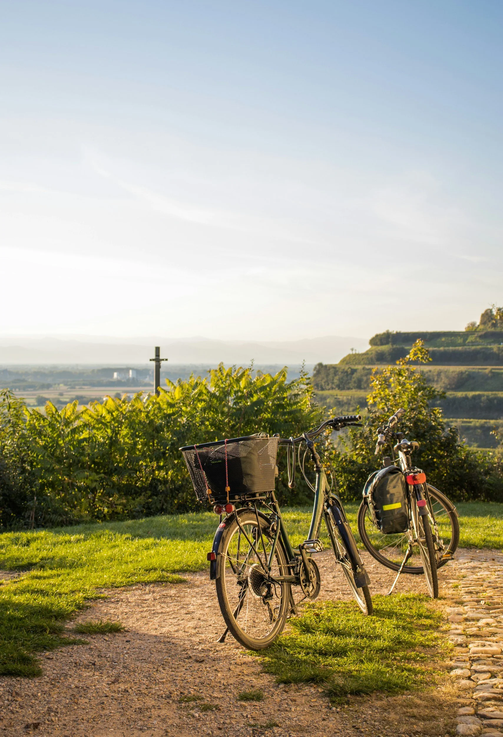 Explore Burgundy’s vineyards by bicycle along scenic wine routes, passing through rolling landscapes, historic villages and renowned estates
