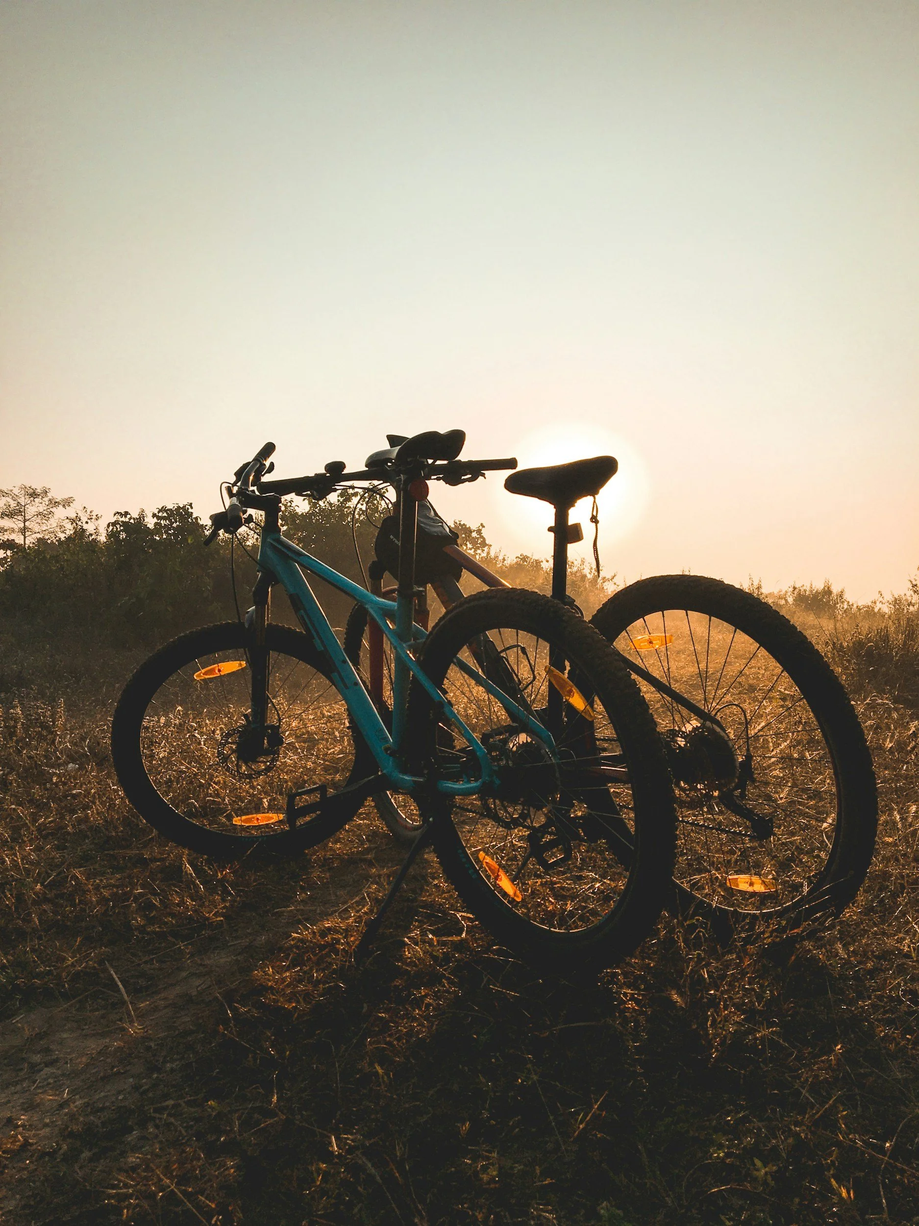 Wine & Bike Tour – Self-Guided