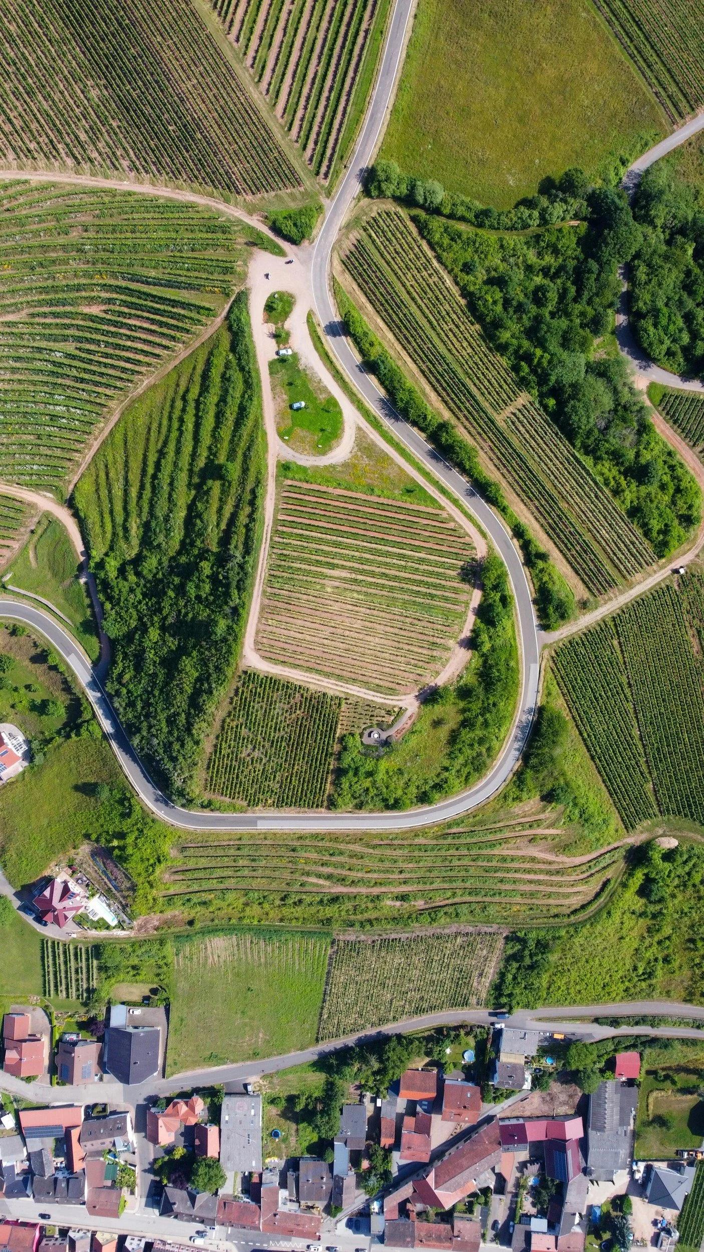 route des grands crus burgundy