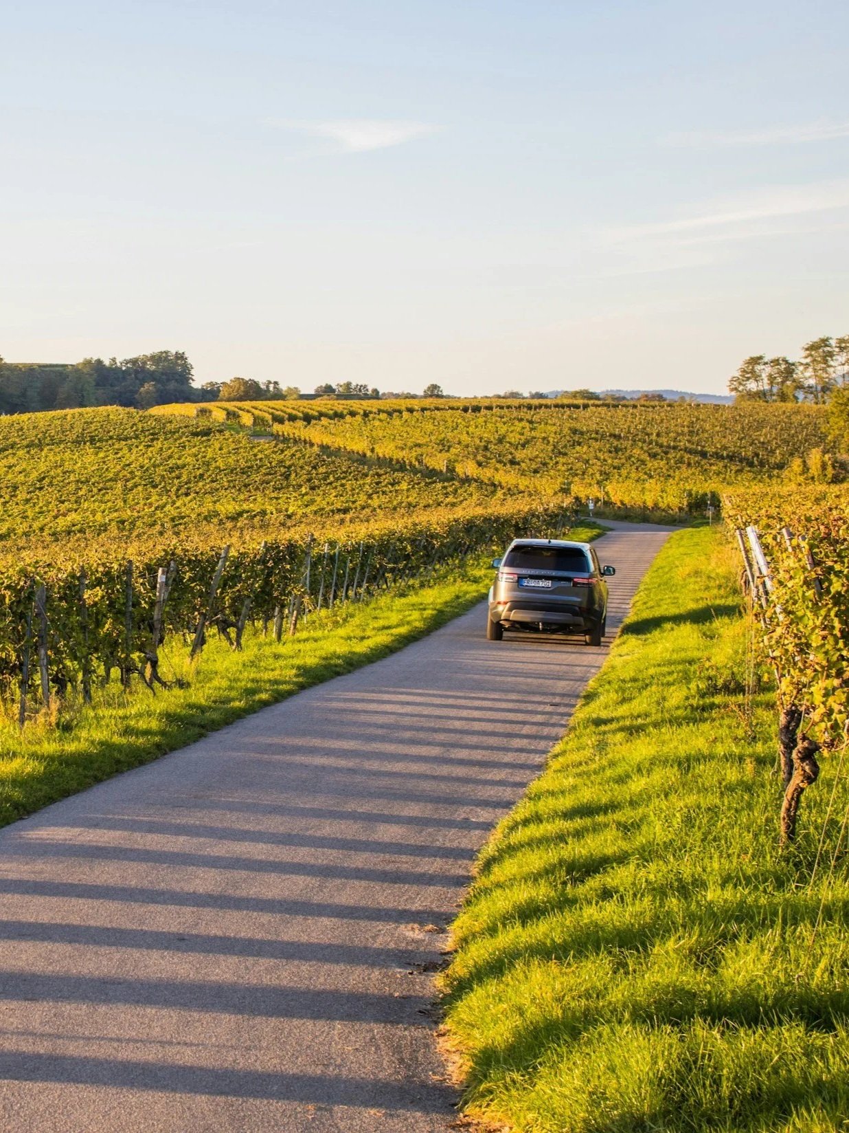 The route des grands crus
