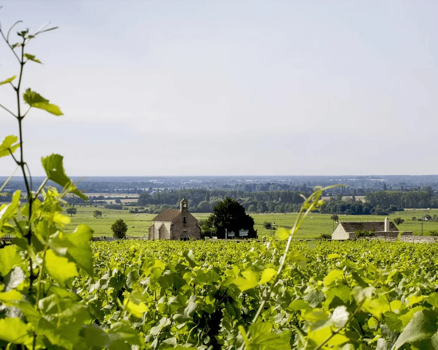 Domaine Michel Lafarge