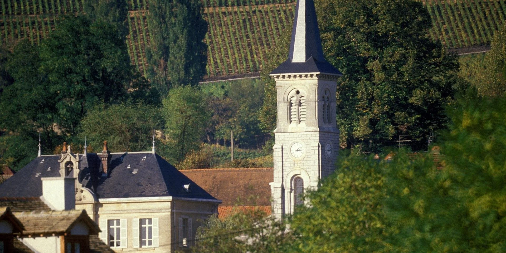 aloxe corton village