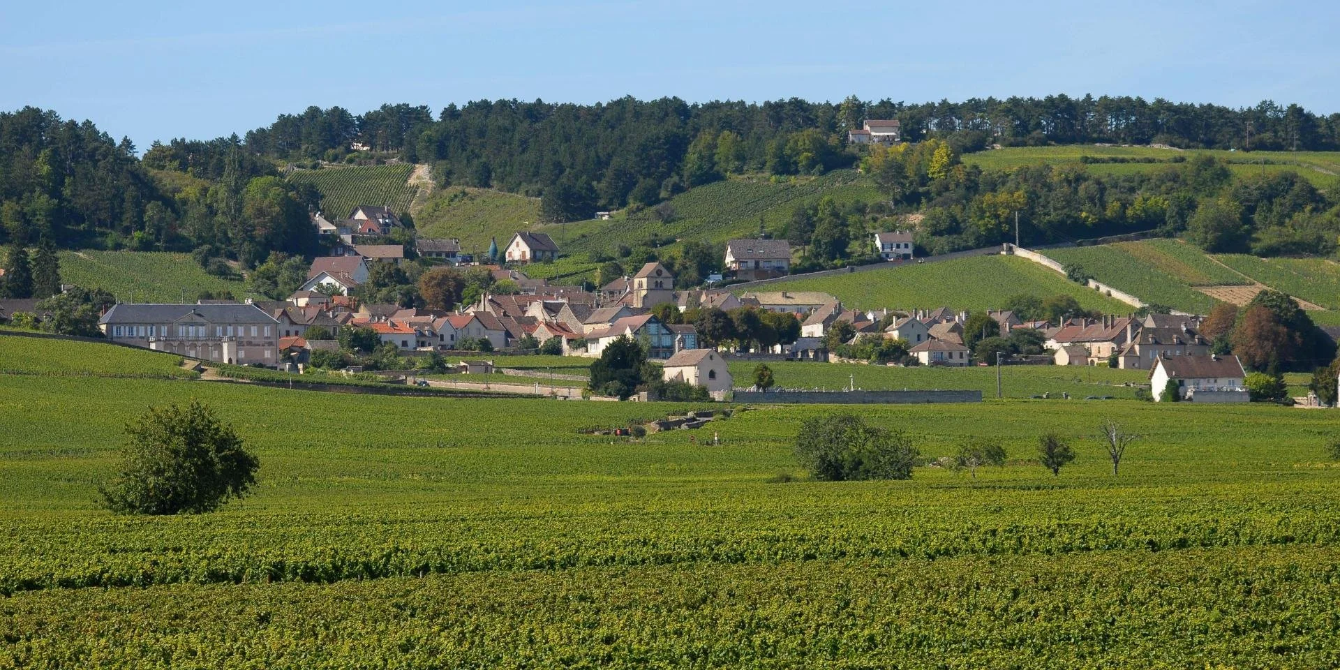 volnay village