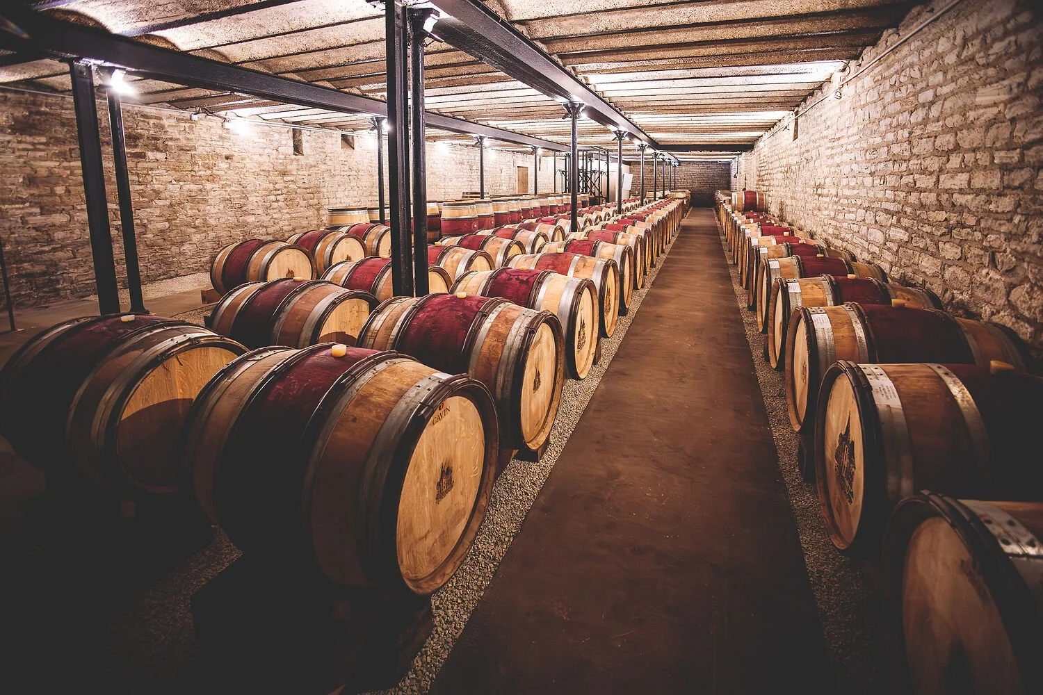 wine cellar chateau albert morot