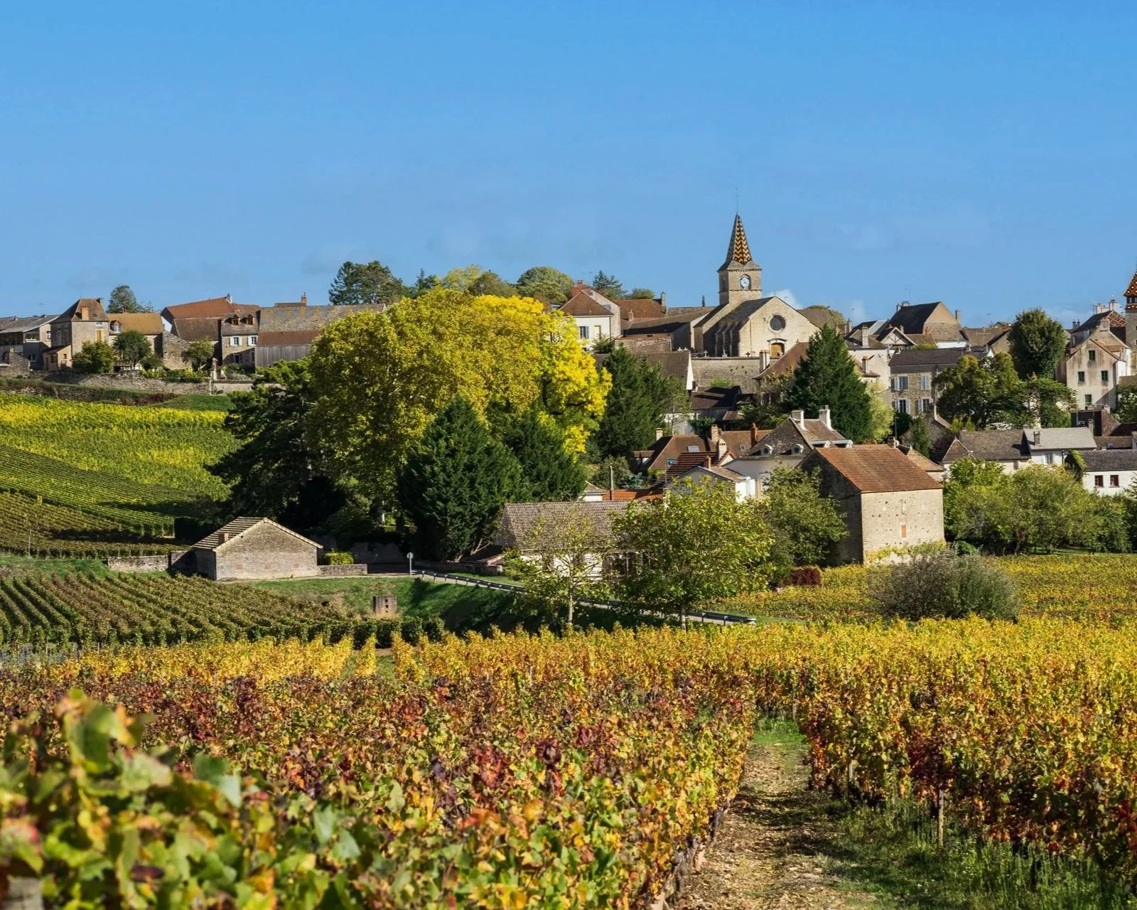 Printemps de Monthélie