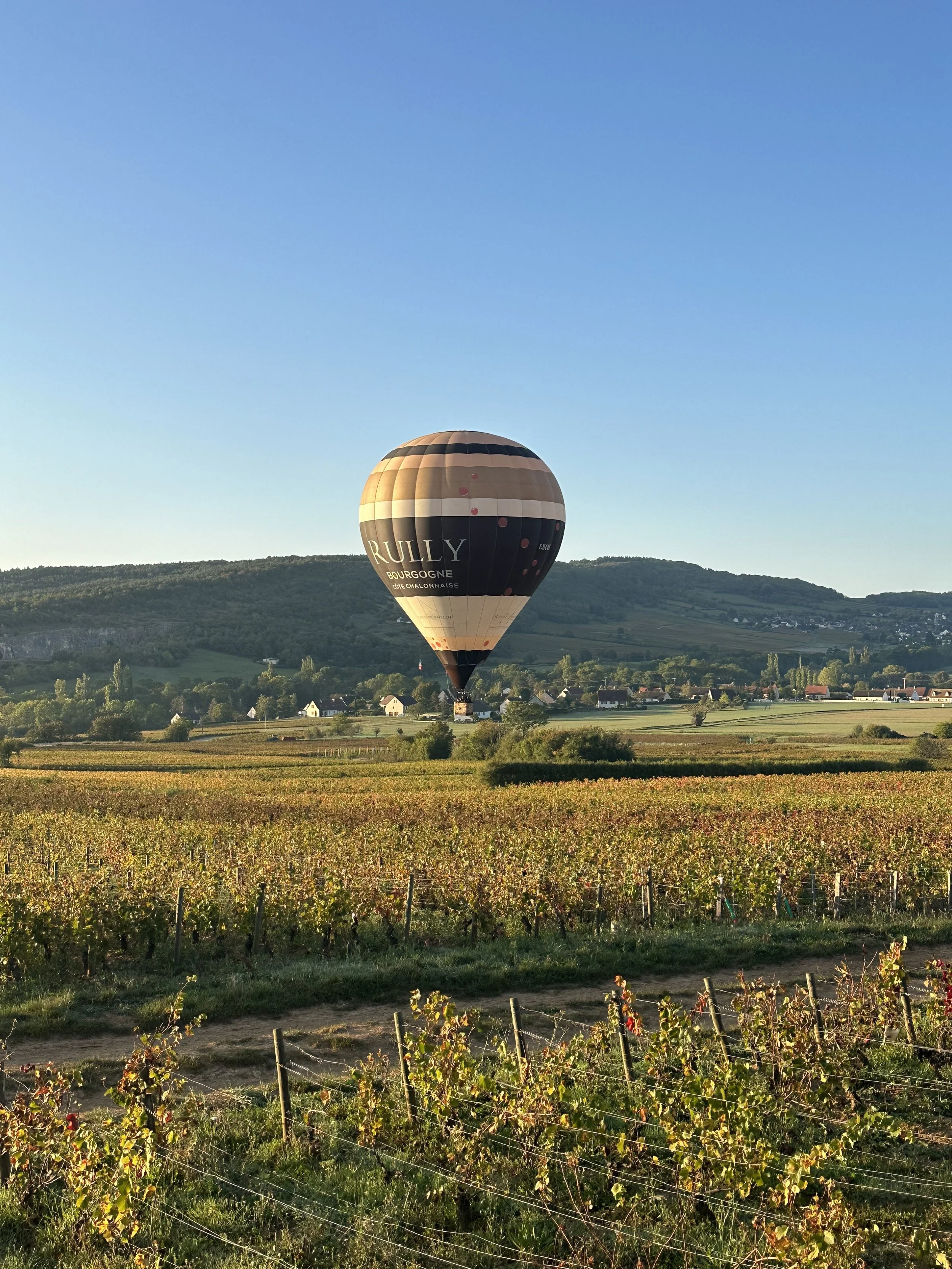 things to do in Beaune