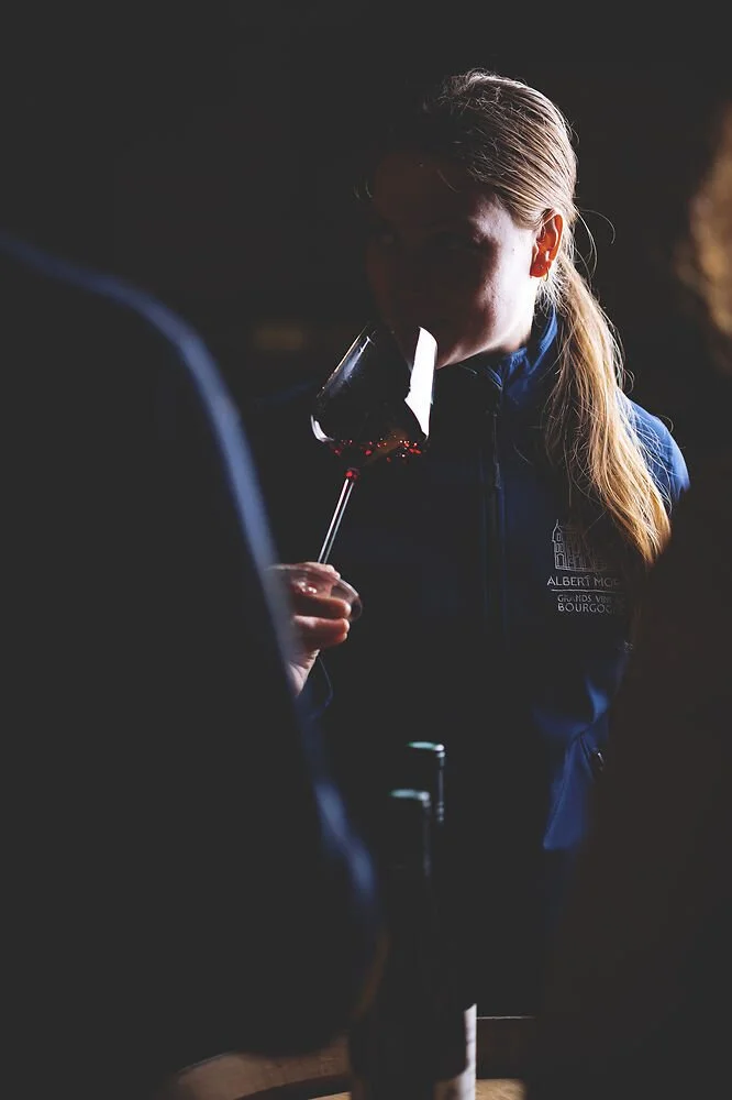 Wine degustation