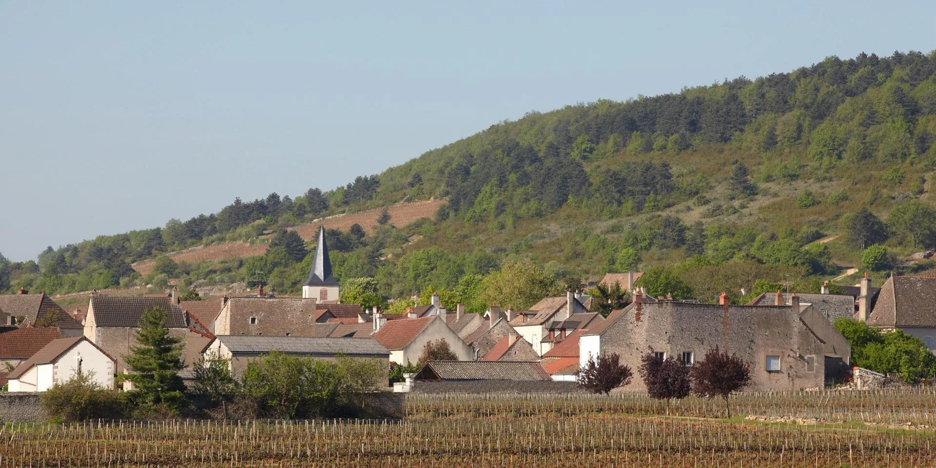 chassagne montrachet village 