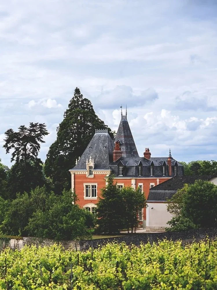 discover the chateau albert morot