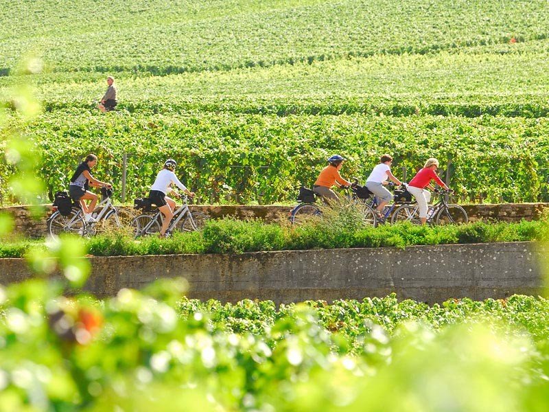 things to do in Beaune bike tours