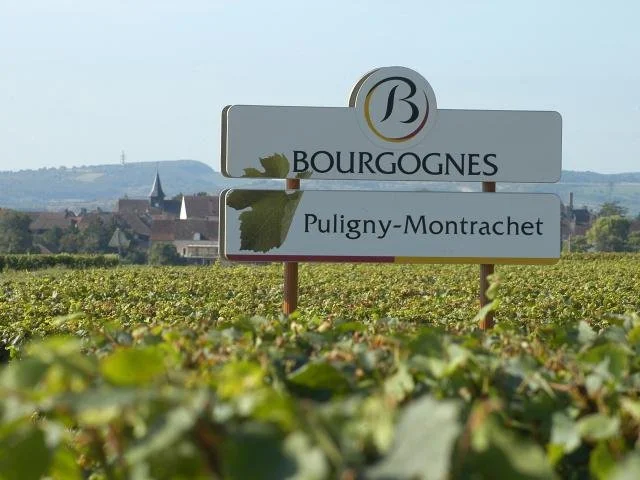 puligny montrachet route