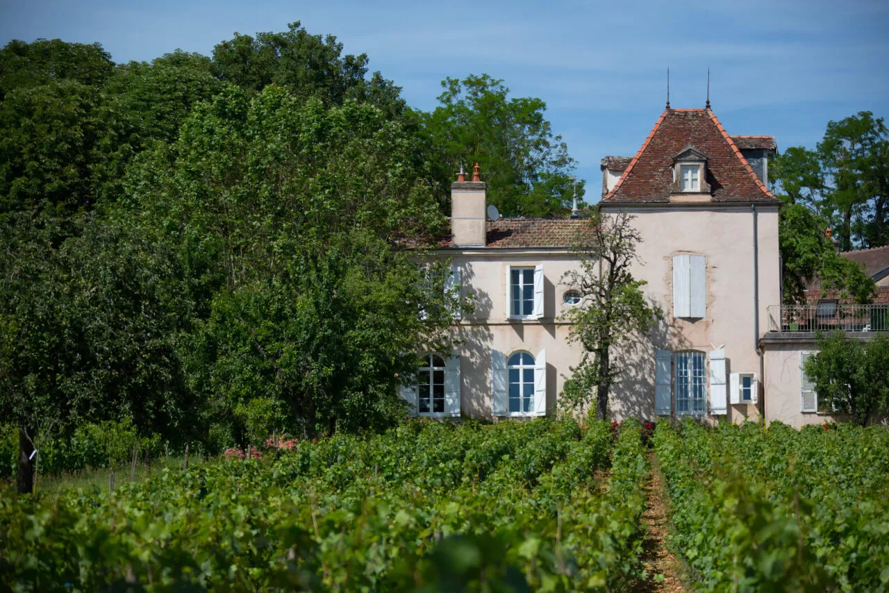 Domaine Comte Senard