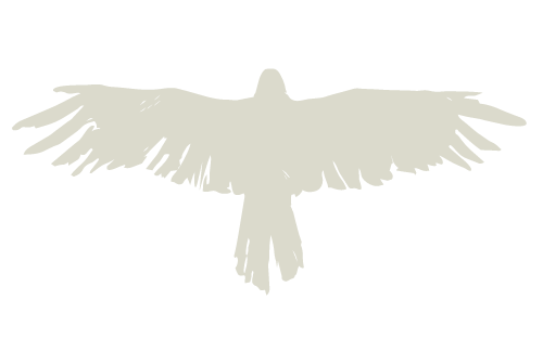 Silhouette of an eagle with outstretched wings