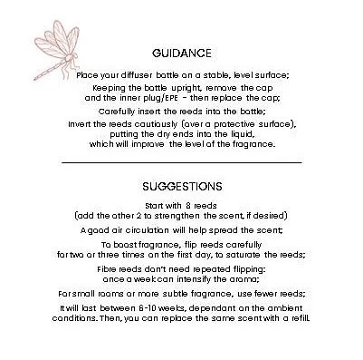 Guidance.edited.jpg
