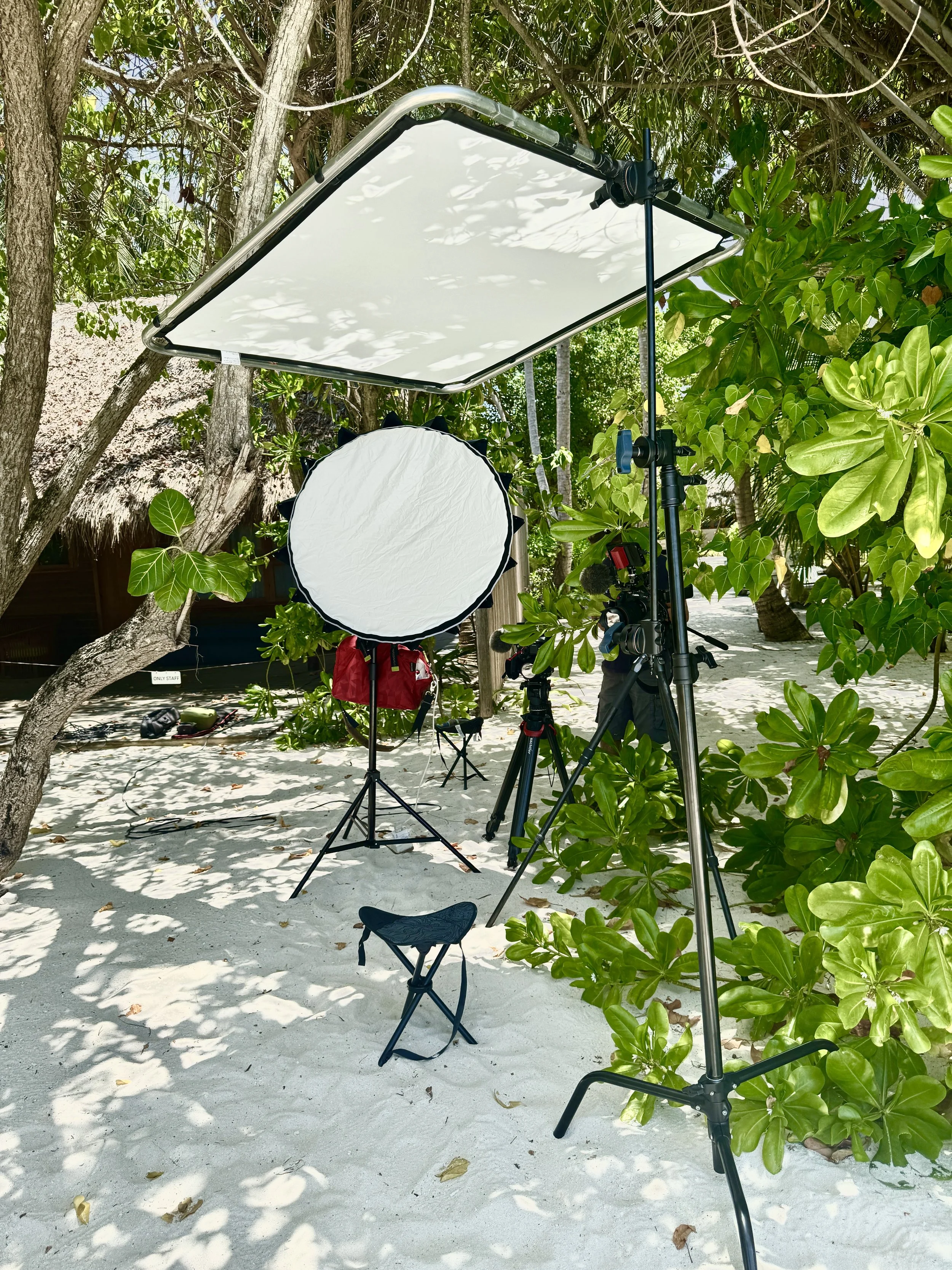 Outdoor photography setup on a sandy beach with large trees and greenery, featuring professional lighting equipment including a large softbox and reflector, along with tripods, a chair, and bags.