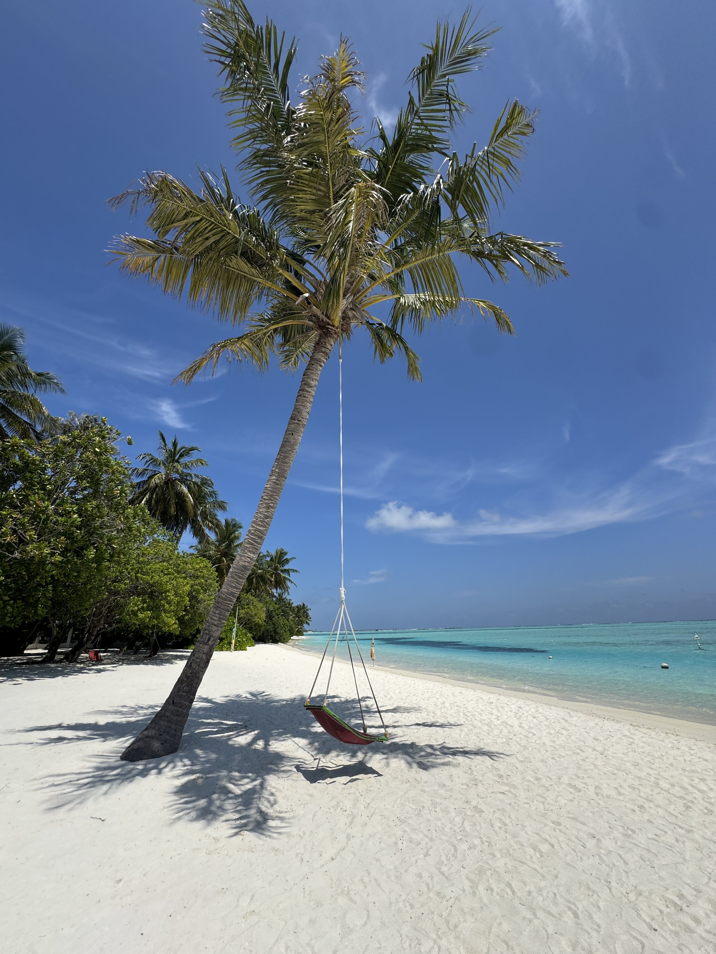 A tropical beach scene with a white sandy beach, a palm tree with a swing hanging from it, clear turquoise water, and a blue sky with a few clouds.