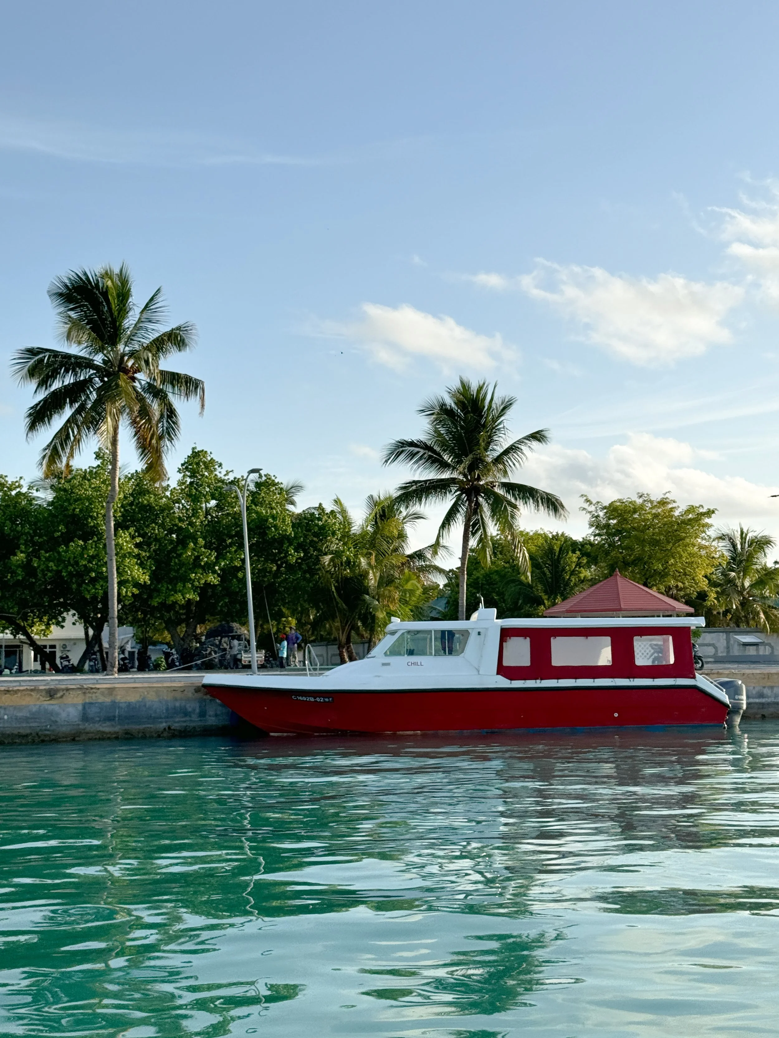 A red and white boat docked near a tropical shoreline with palm trees and a small red-roofed structure in the background, under a blue sky with some clouds.