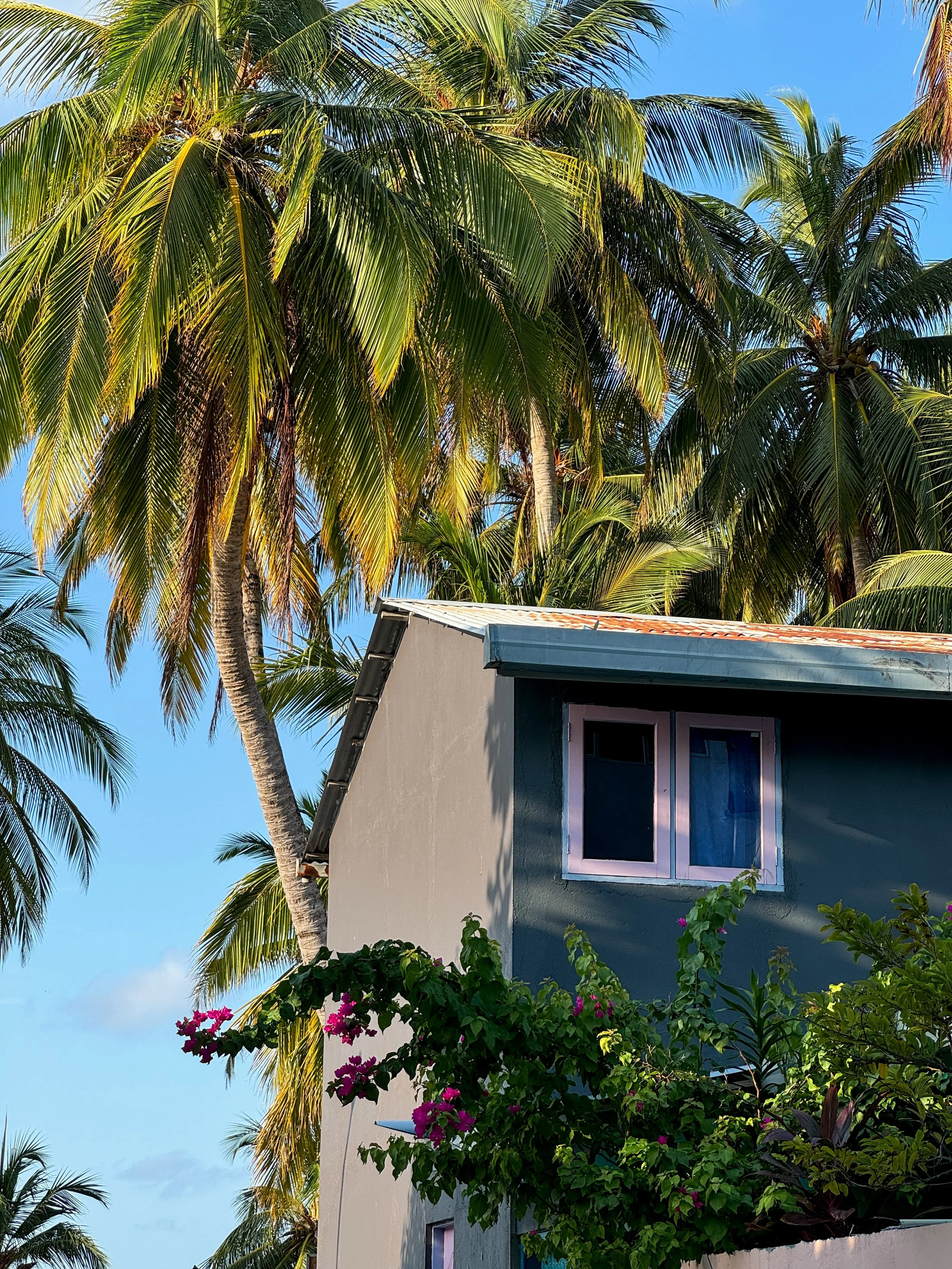 Tropical island home framed by lush greenery, pink flowers, and swaying palm trees beneath a clear sky.