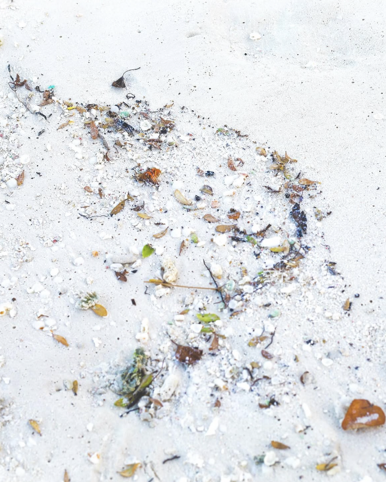 A trail of small seashells, leaves, and debris on white sand.